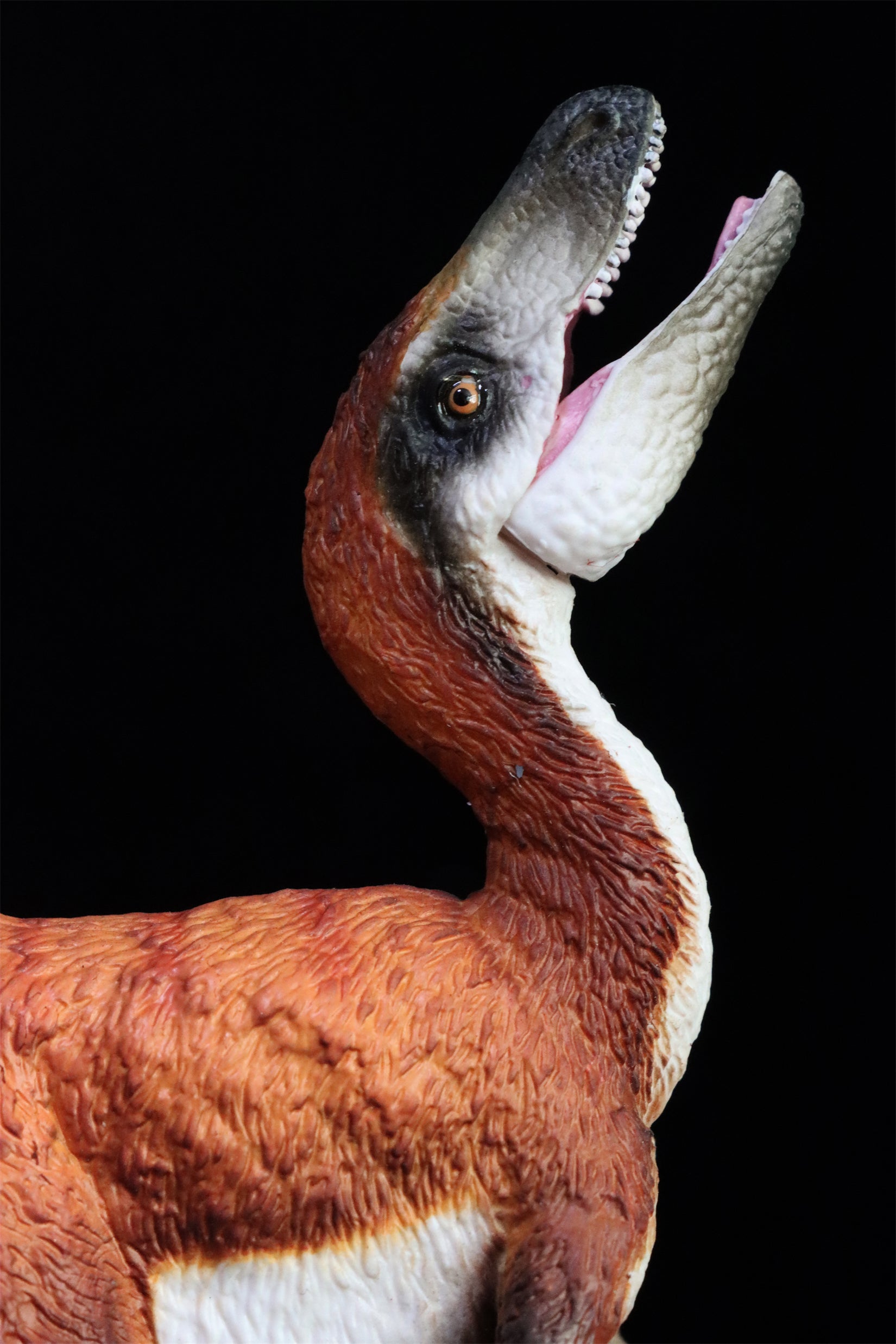 TNG Lufengosaurus Quetzalcoatlus Cryolophosaurus Saichania Sinosauropteryx Figure