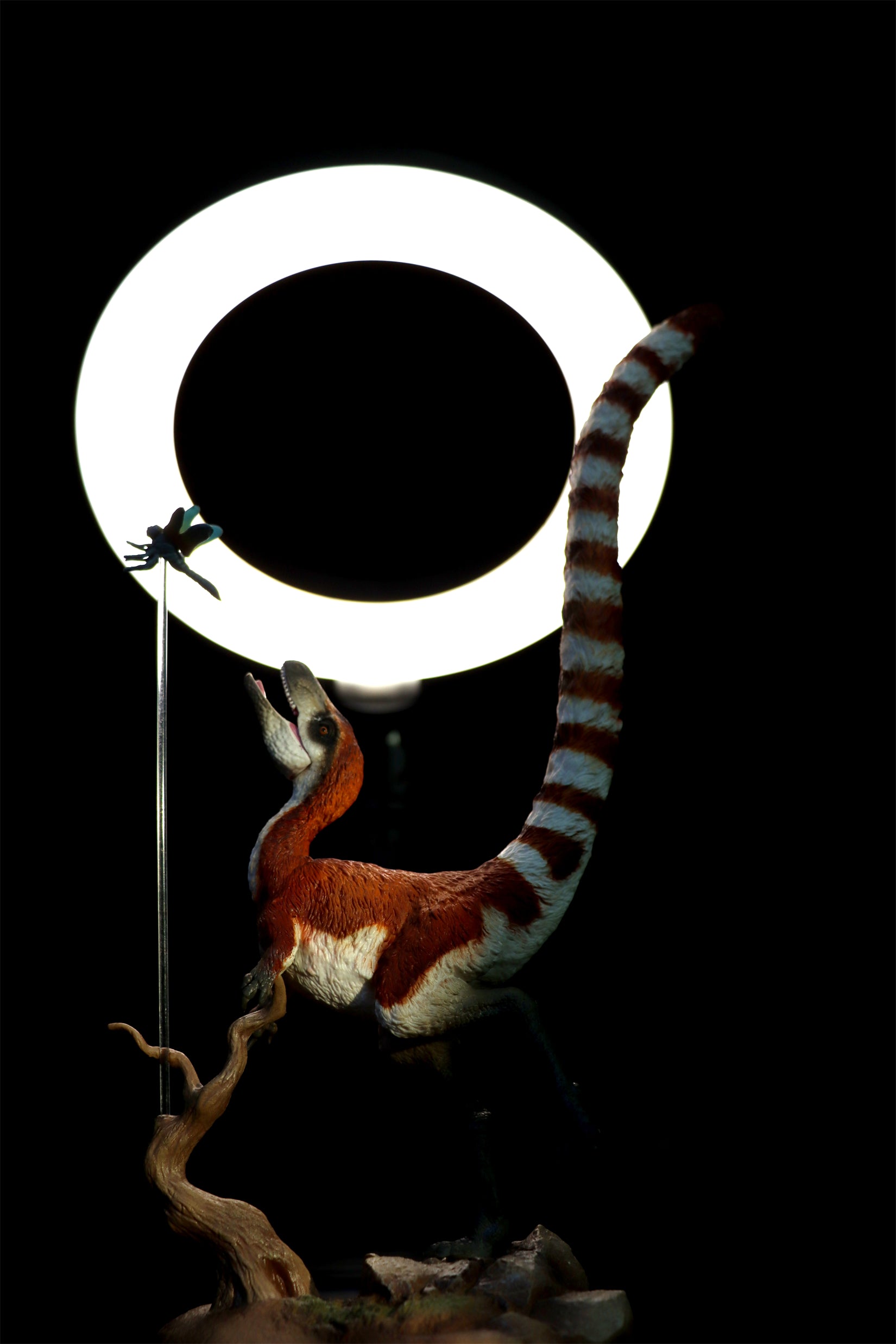 TNG Lufengosaurus Quetzalcoatlus Cryolophosaurus Saichania Sinosauropteryx Figure