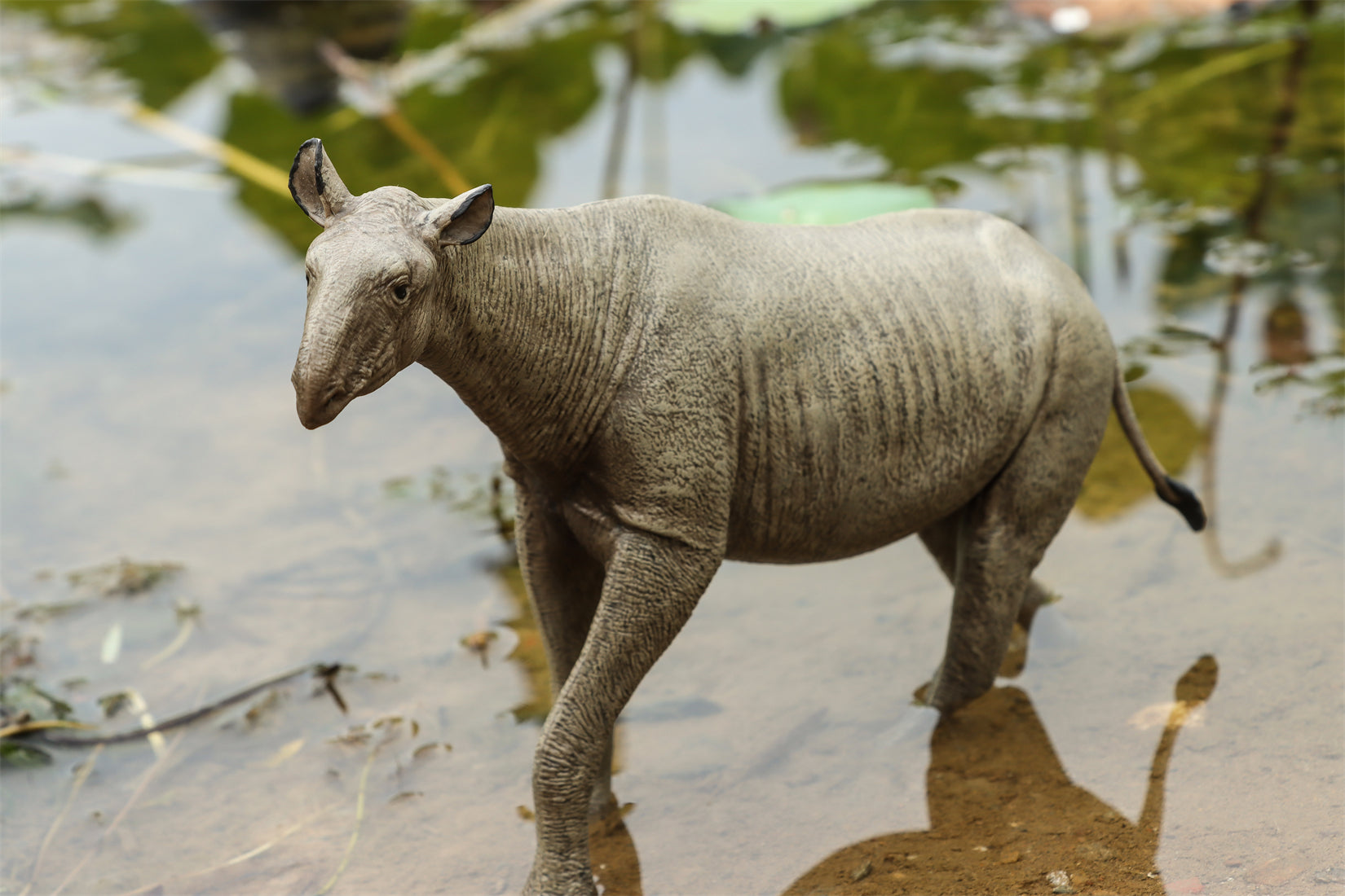 Eofauna 1:35 Scale Paraceratherium grangeri Figure
