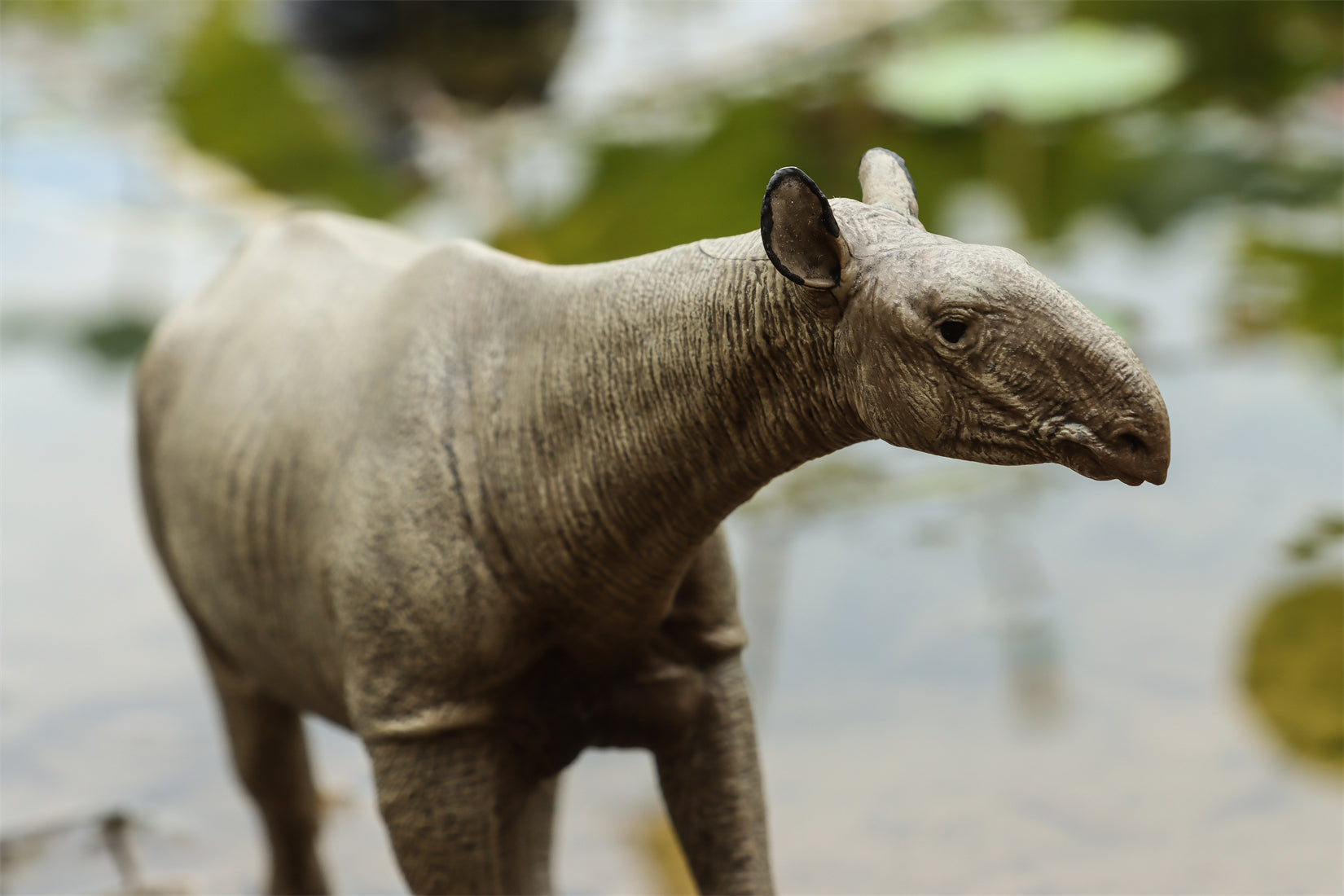 Eofauna 1:35 Scale Paraceratherium grangeri Figure
