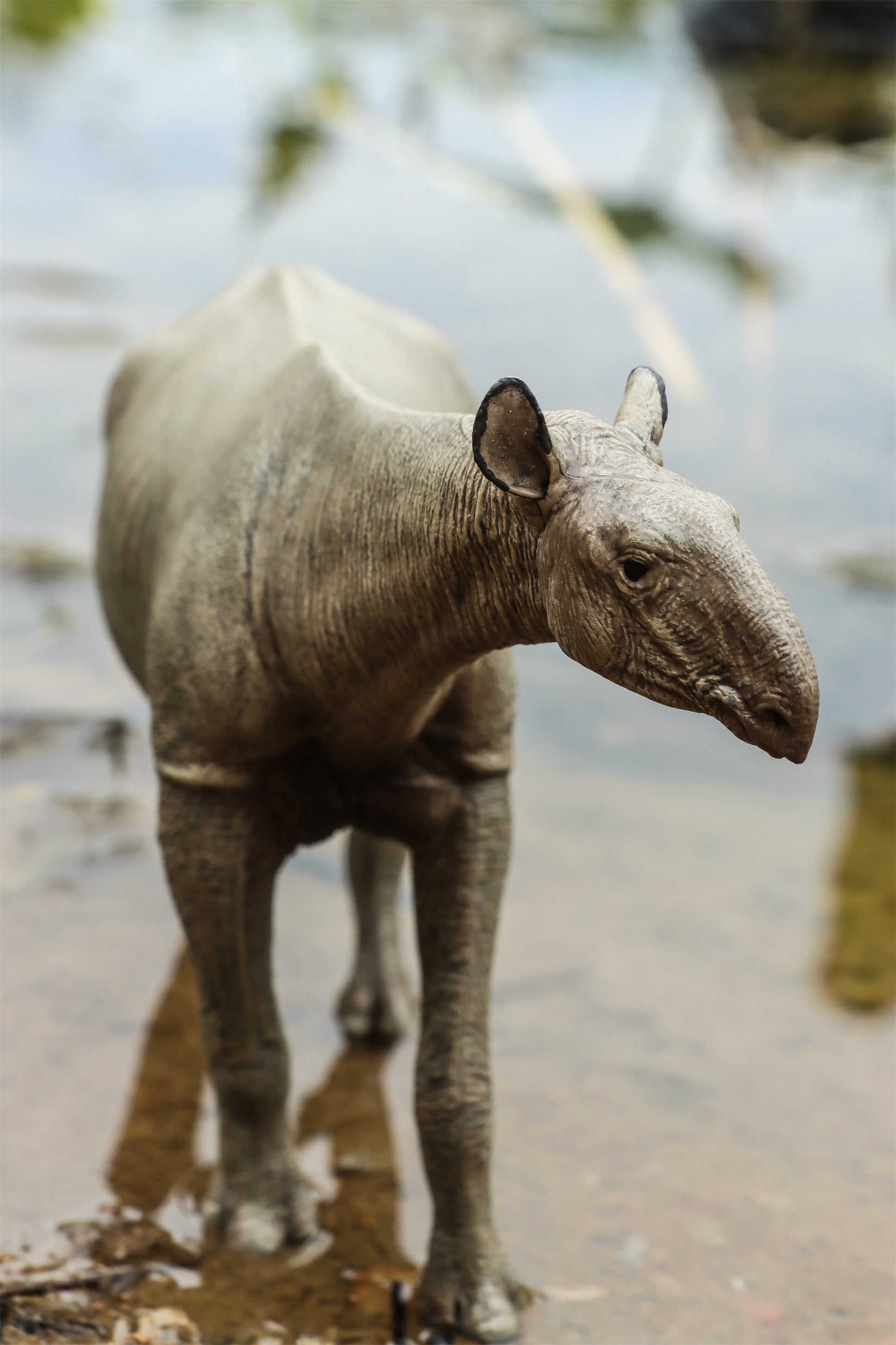 Eofauna 1:35 Scale Paraceratherium grangeri Figure
