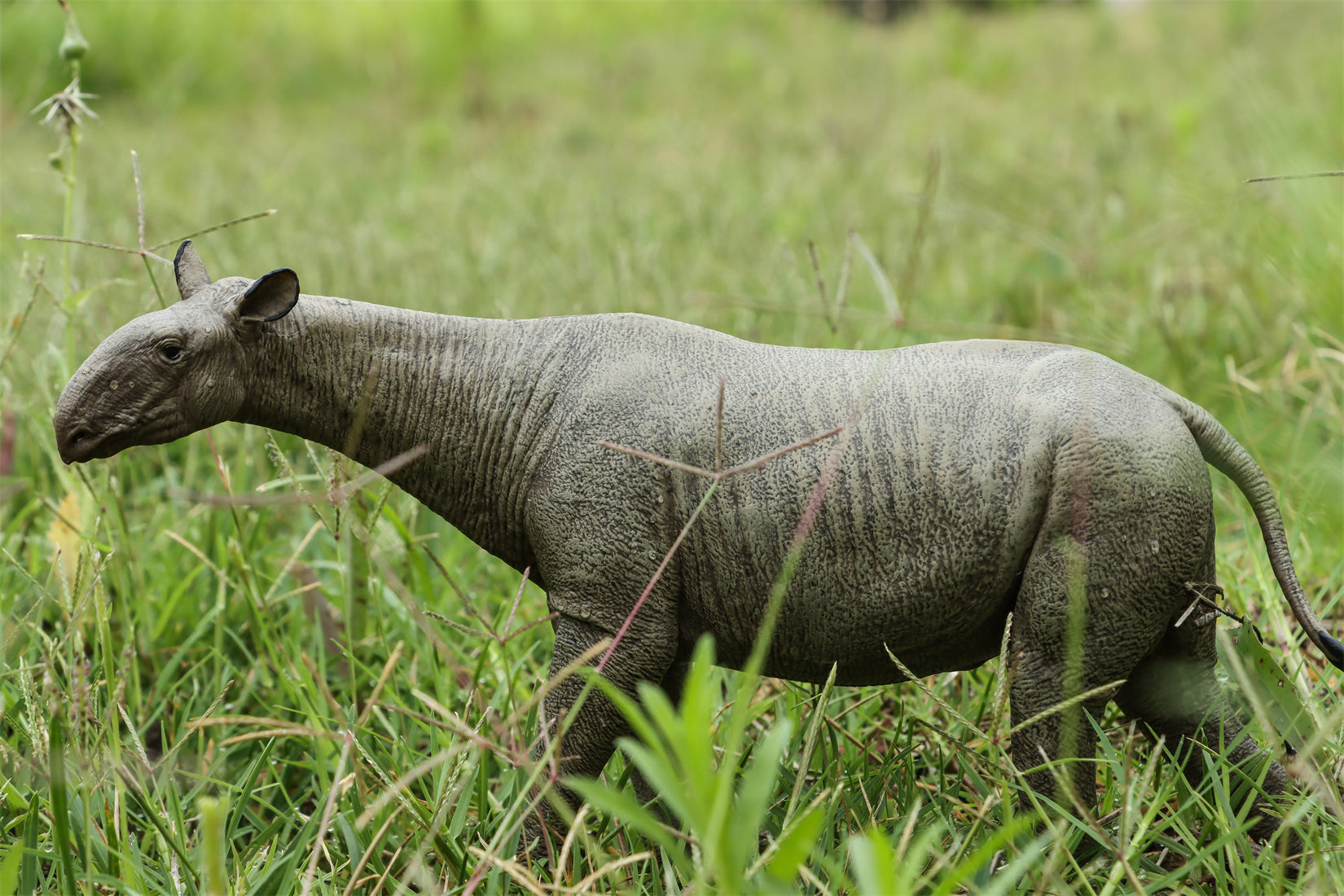 Eofauna 1:35 Scale Paraceratherium grangeri Figure