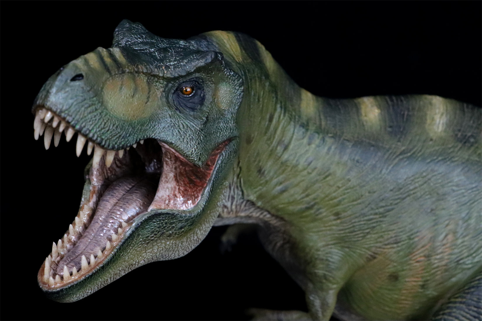 Nanmu Studio Tyrannosaurus Rex Alpha 2.0 Model