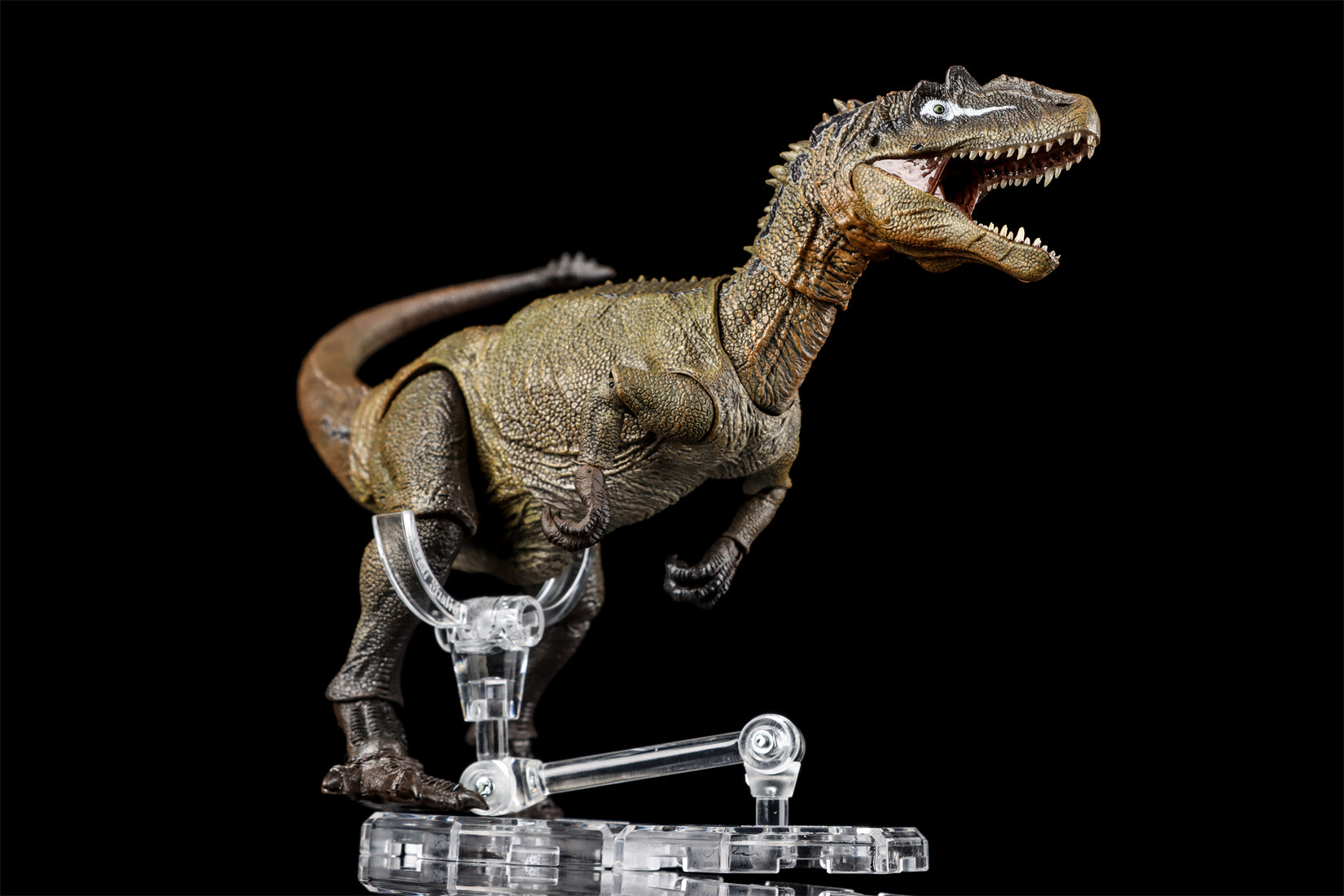 Nanmu Studio Smart Series Allosaurus Action Figure