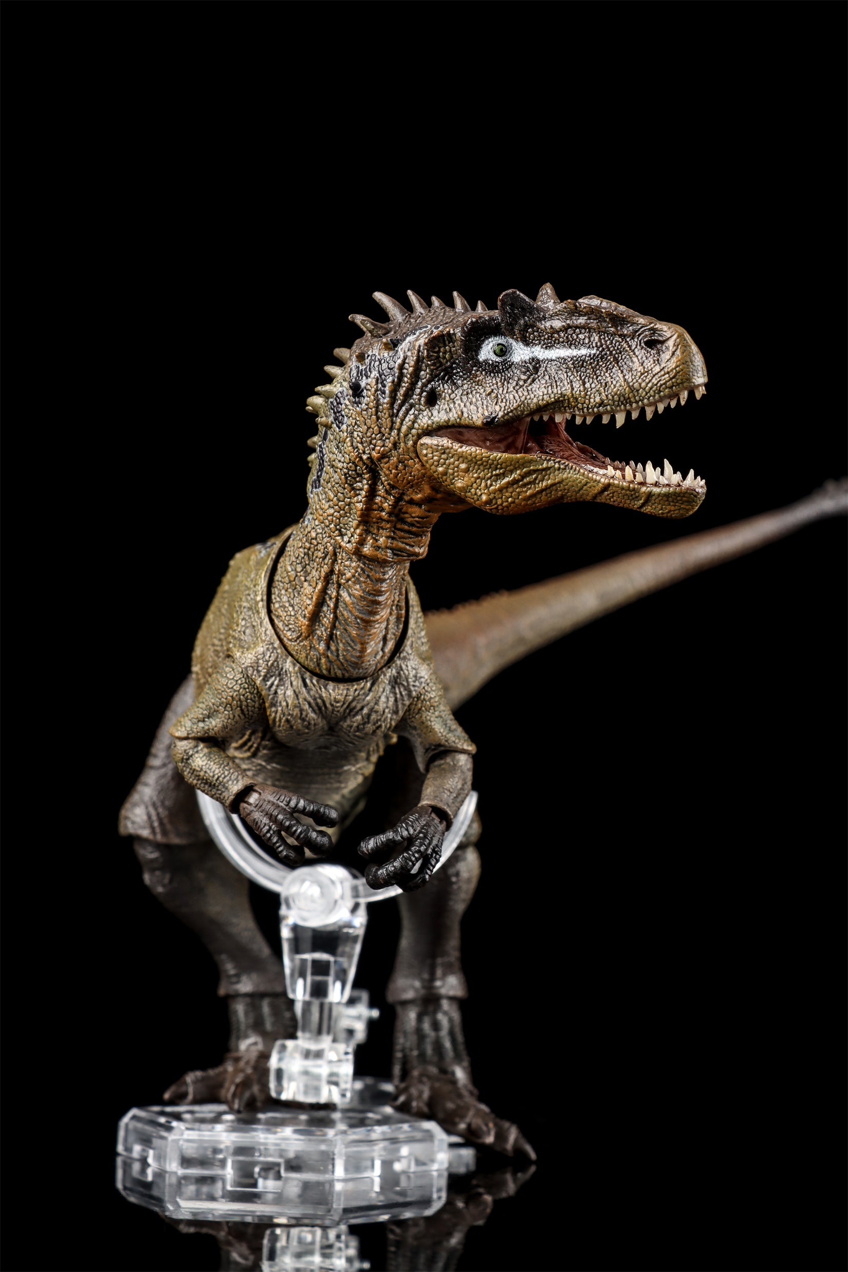 Nanmu Studio Smart Series Allosaurus Action Figure