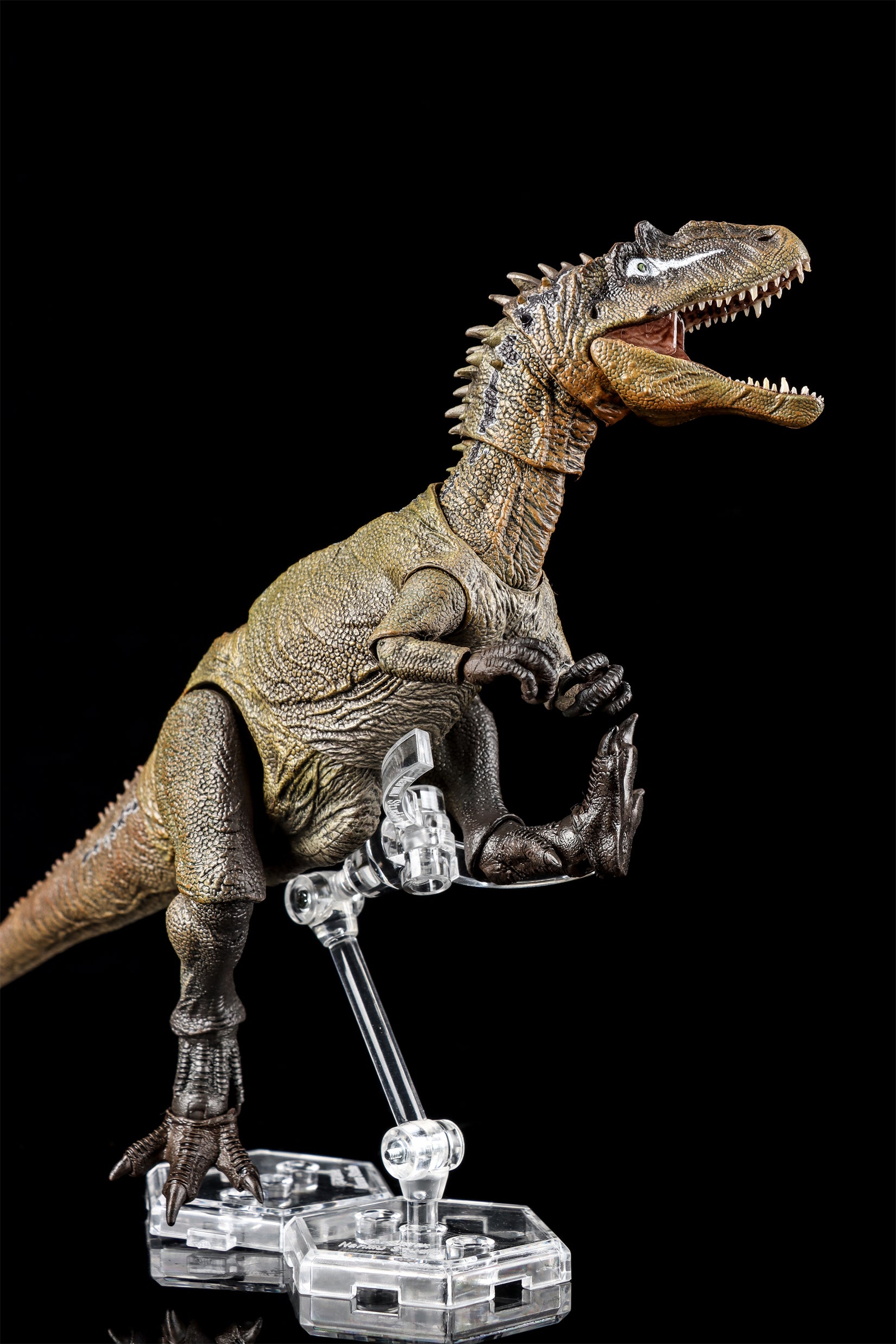 Nanmu Studio Smart Series Allosaurus Action Figure