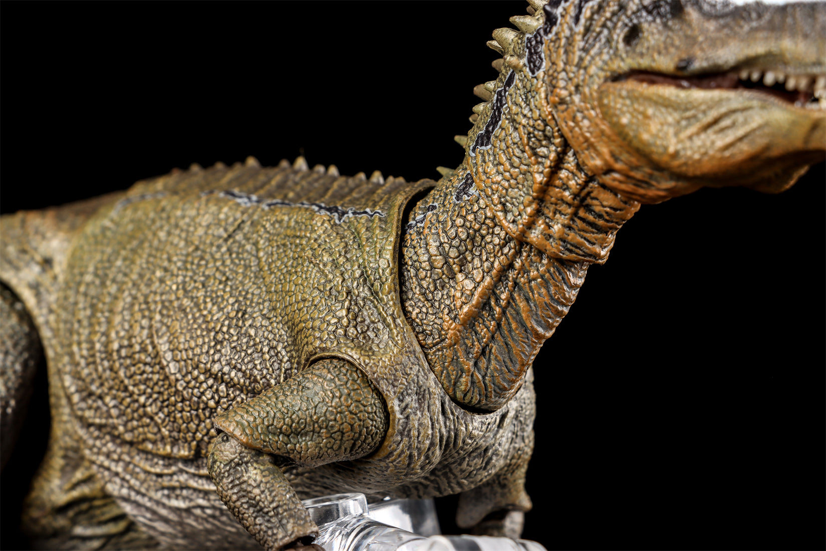 Nanmu Studio Smart Series Allosaurus Action Figure