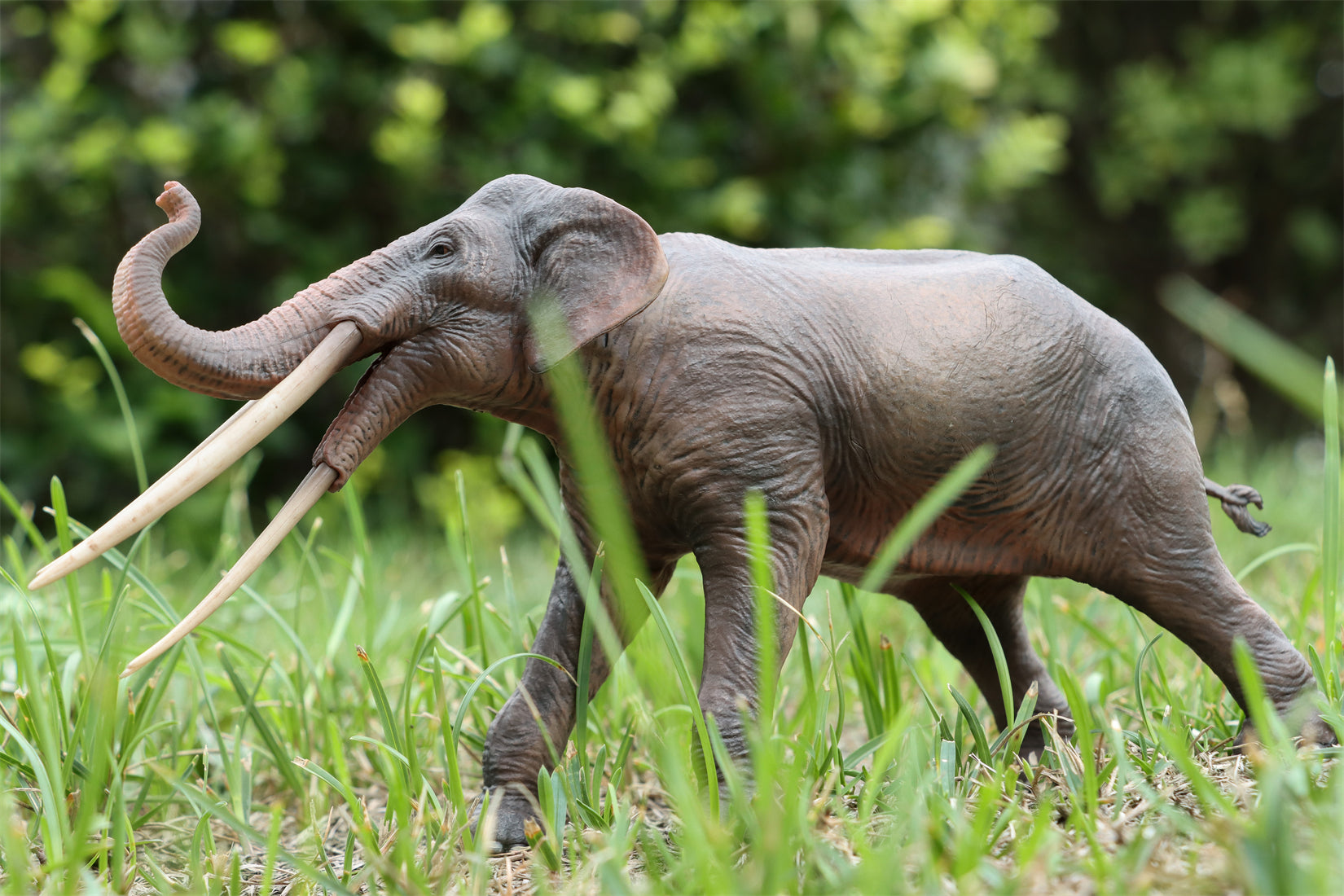 HAOLONGGOOD 1:35 Scale Stegotetrabelodon Model