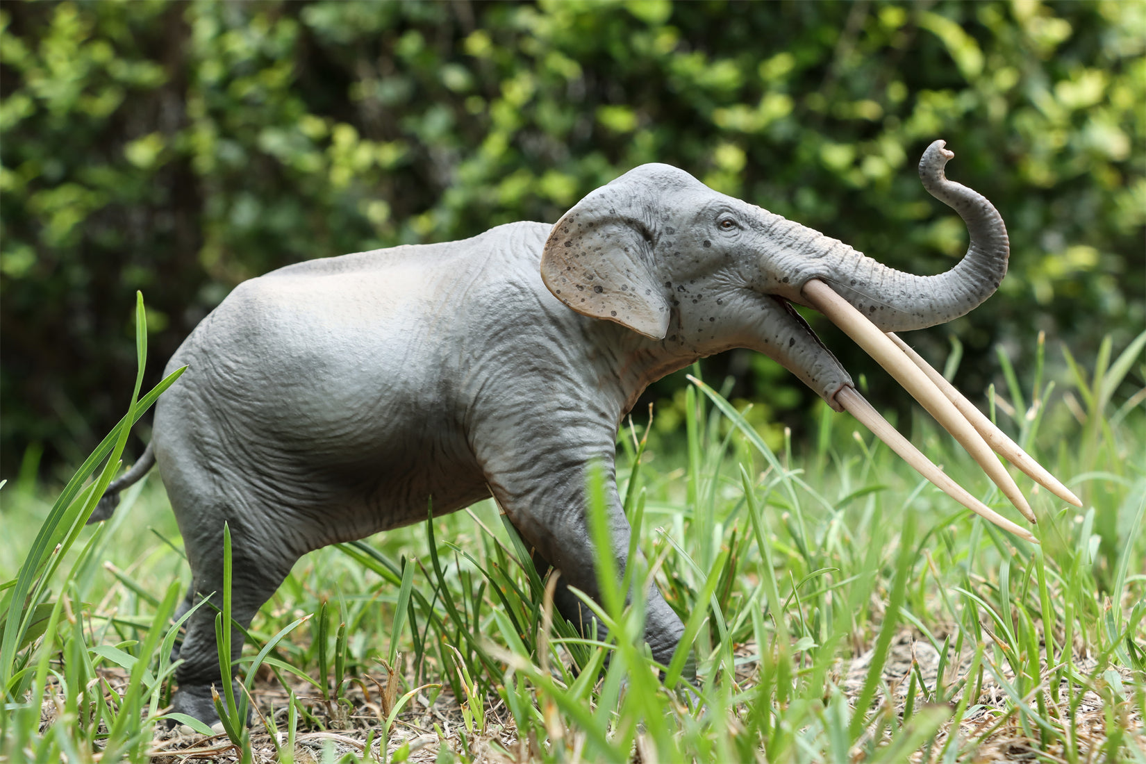 HAOLONGGOOD 1:35 Scale Stegotetrabelodon Model