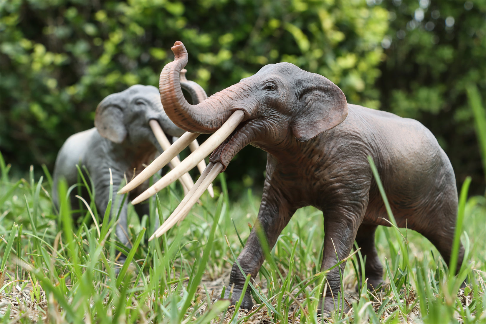 HAOLONGGOOD 1:35 Scale Stegotetrabelodon Model
