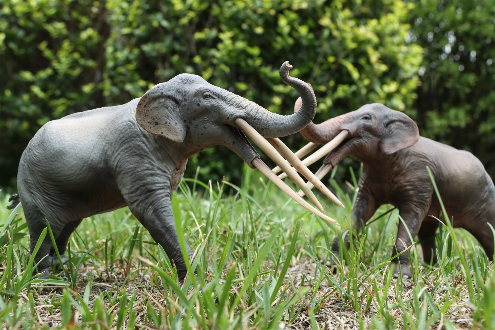 HAOLONGGOOD 1:35 Scale Stegotetrabelodon Model