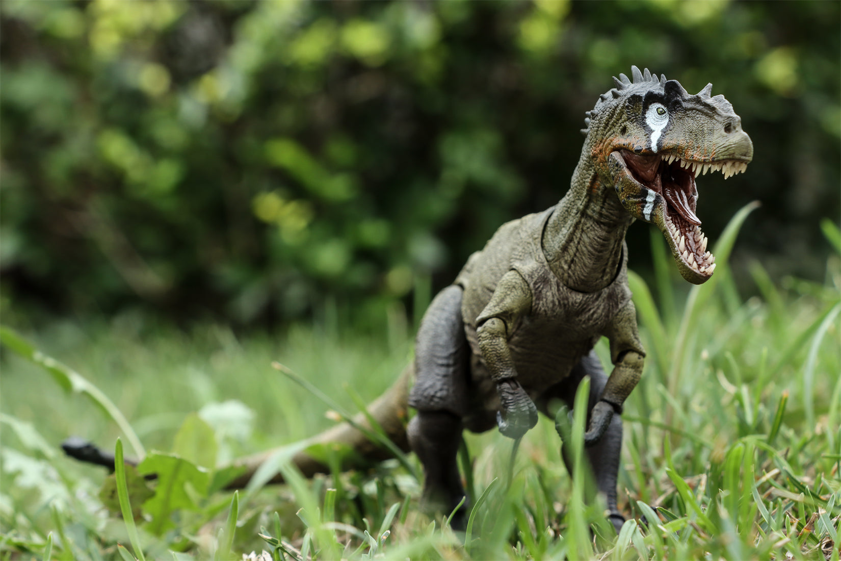 Nanmu Studio Smart Series Allosaurus Action Figure