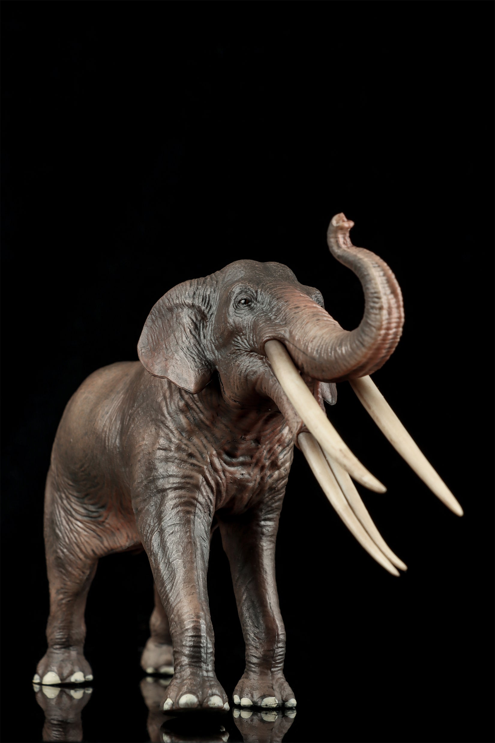 HAOLONGGOOD 1:35 Scale Stegotetrabelodon Model