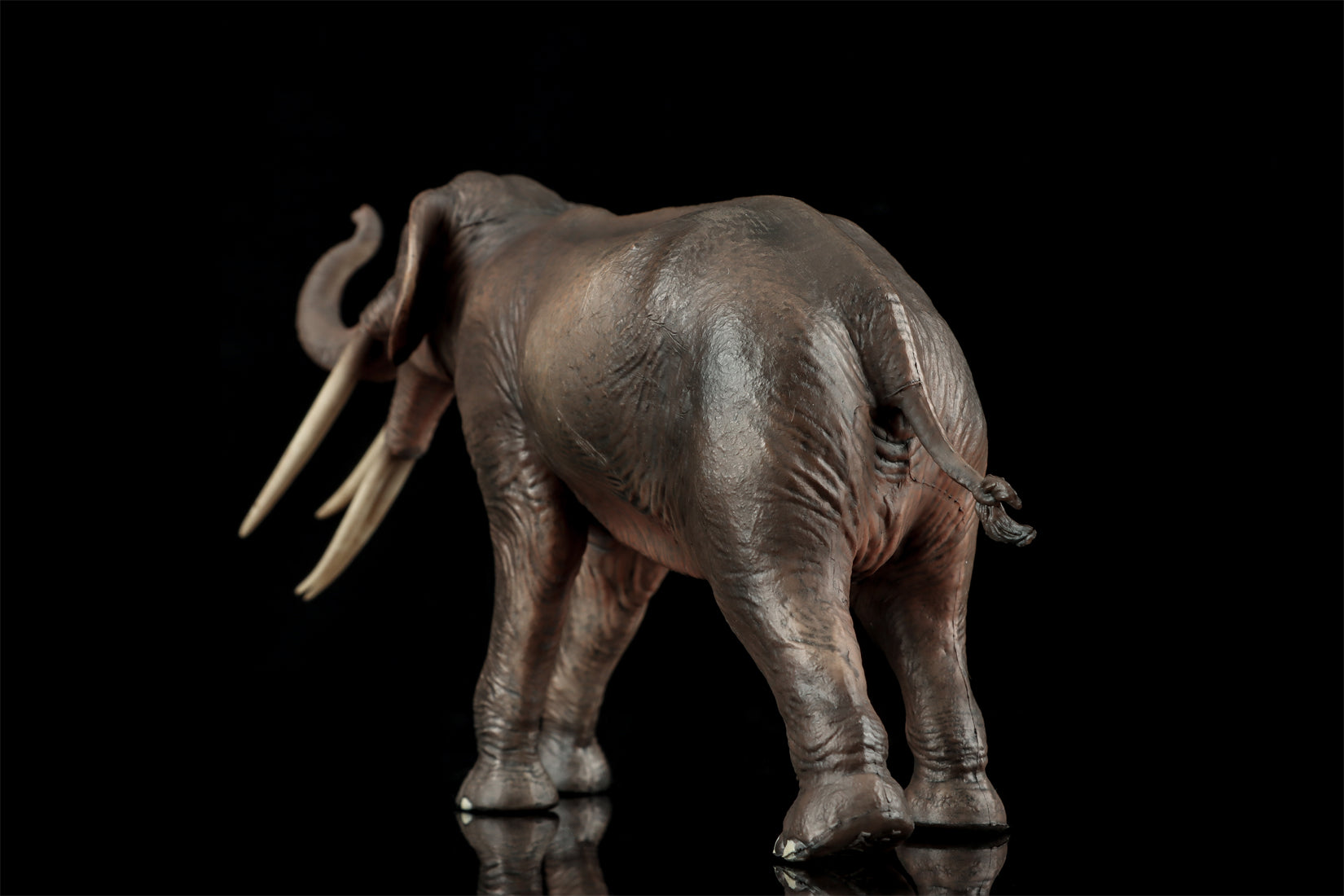 HAOLONGGOOD 1:35 Scale Stegotetrabelodon Model