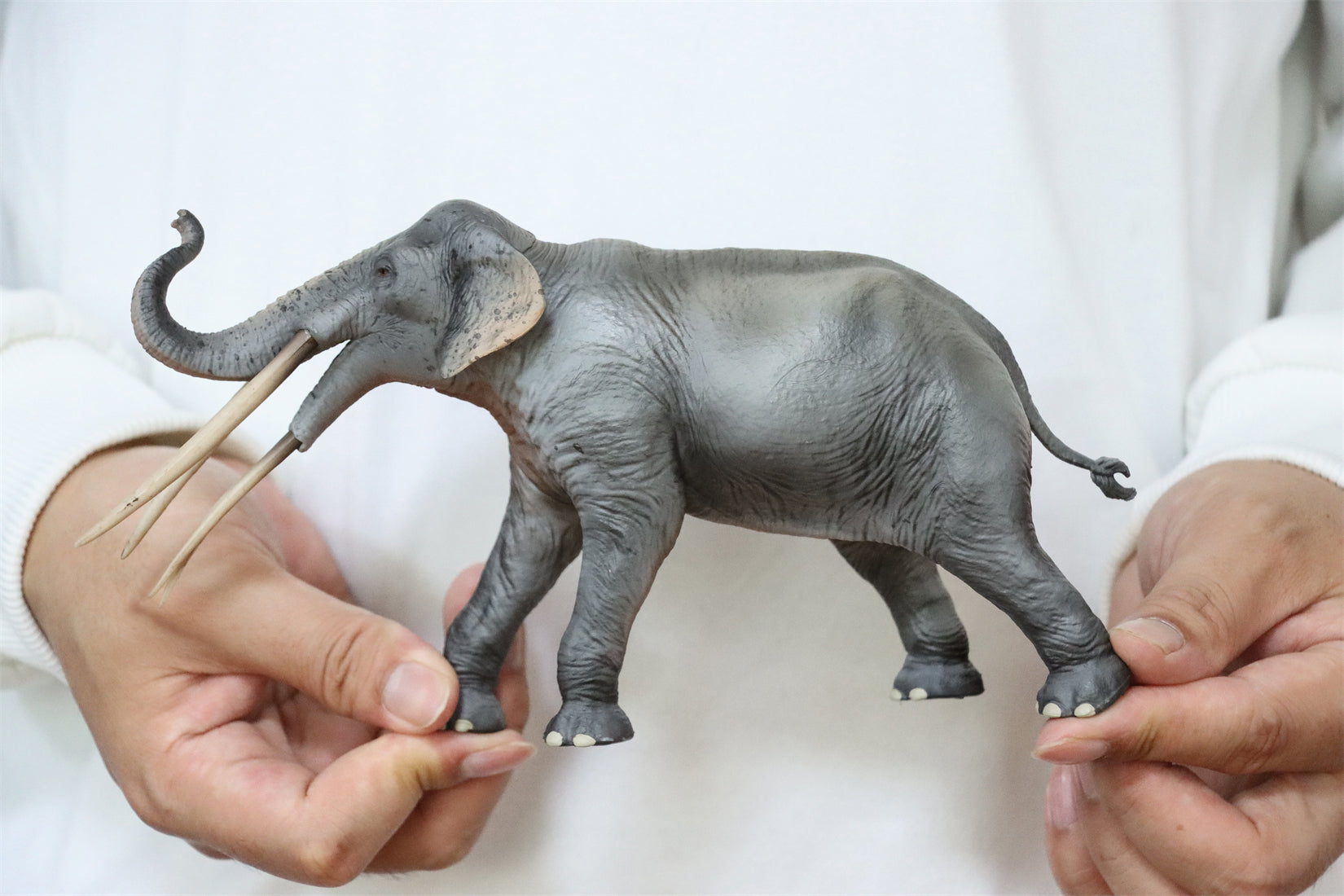 HAOLONGGOOD 1:35 Scale Stegotetrabelodon Model