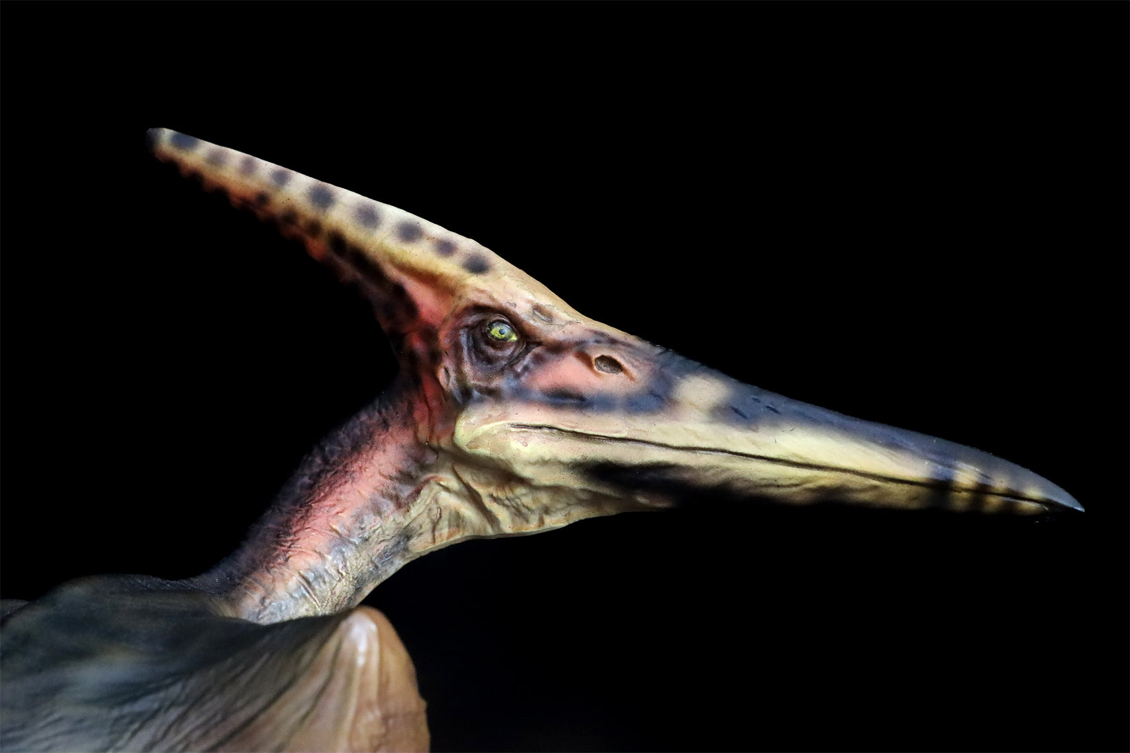 DINO DREAM 1:15 Scale Pteranodon Scene Statue