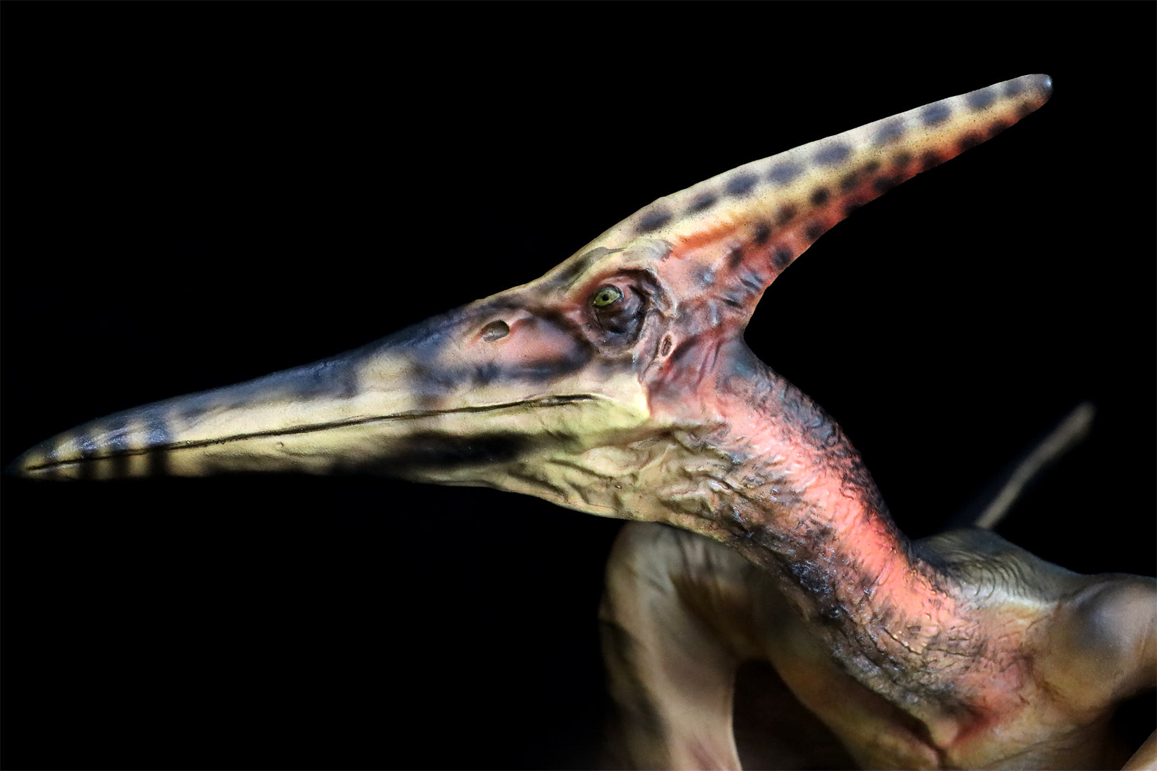 DINO DREAM 1:15 Scale Pteranodon Scene Statue
