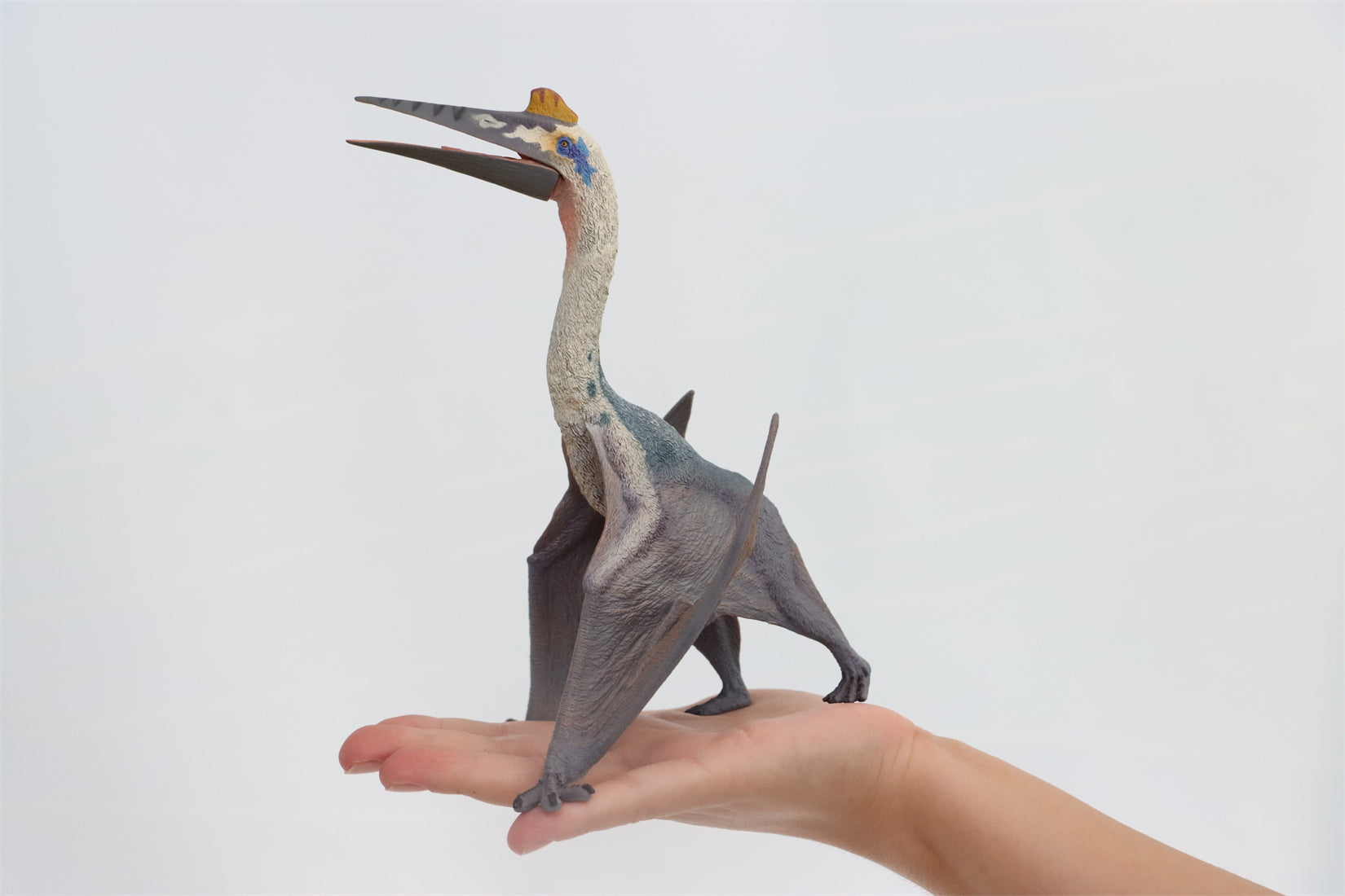 TNG Quetzalcoatlus Cryolophosaurus Saichania Sinosauropteryx Parasaurolophus Figure