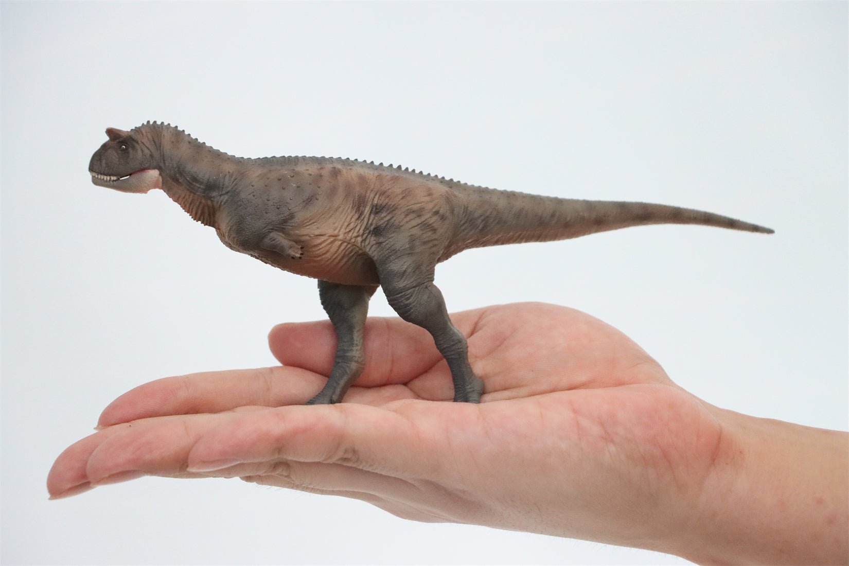 HAOLONGGOOD 1:35 Carnotaurus Model