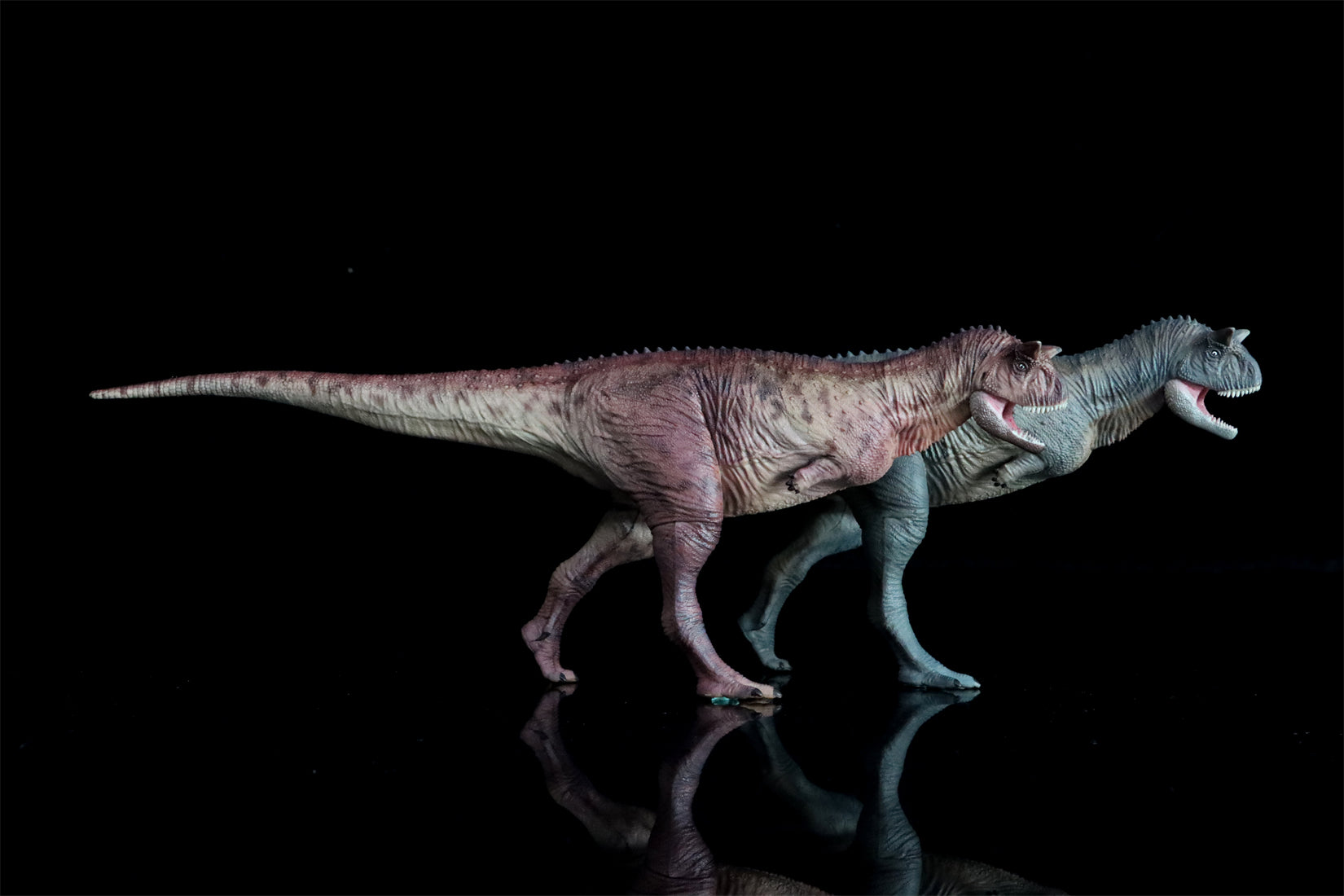 HAOLONGGOOD 1:35 Carnotaurus Model