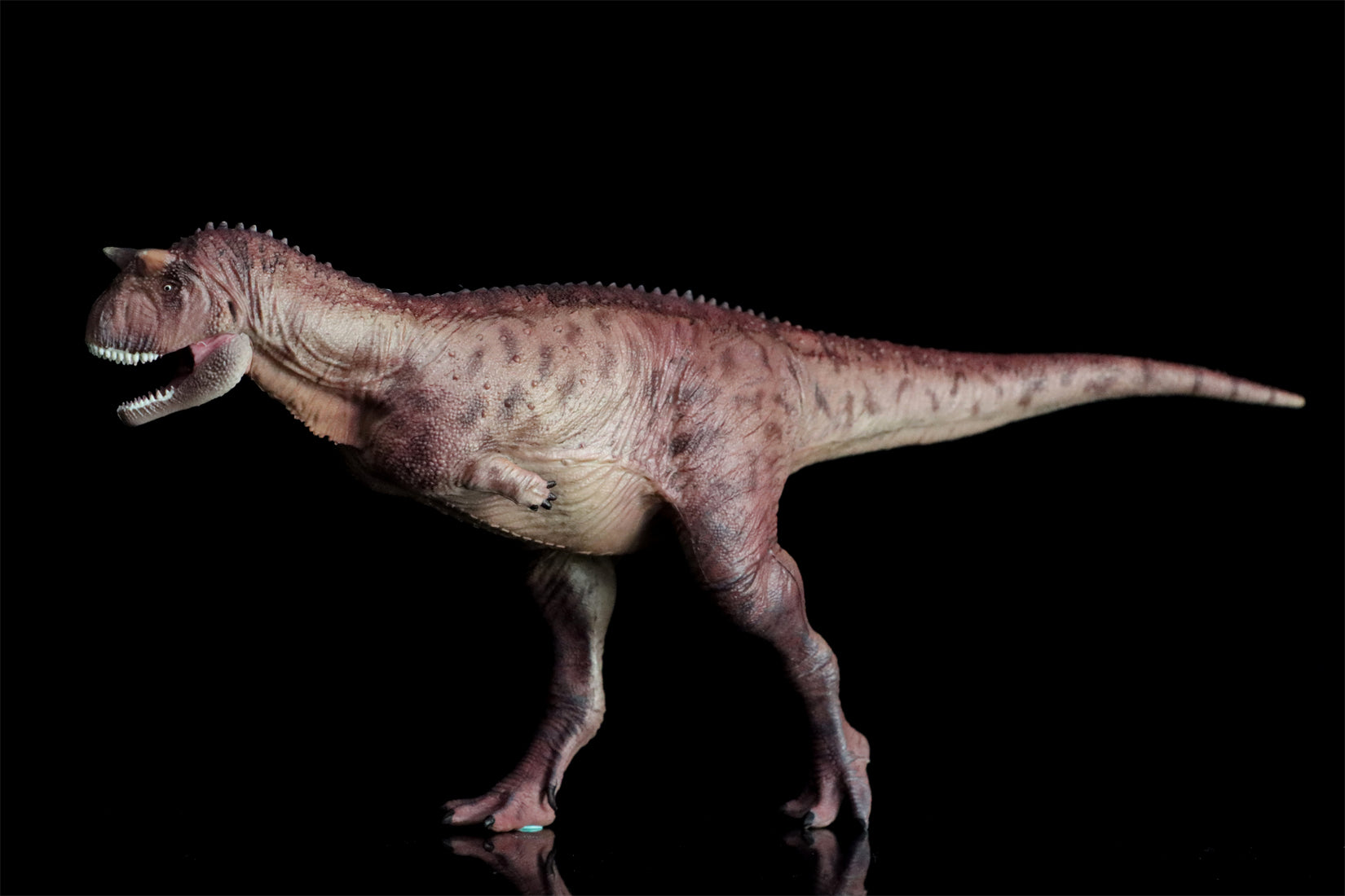 HAOLONGGOOD 1:35 Carnotaurus Model