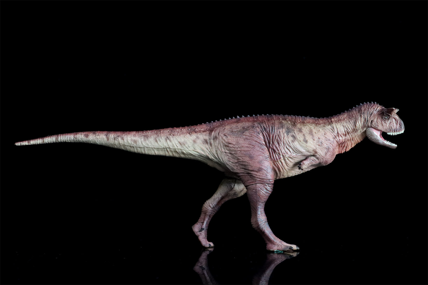 HAOLONGGOOD 1:35 Carnotaurus Model