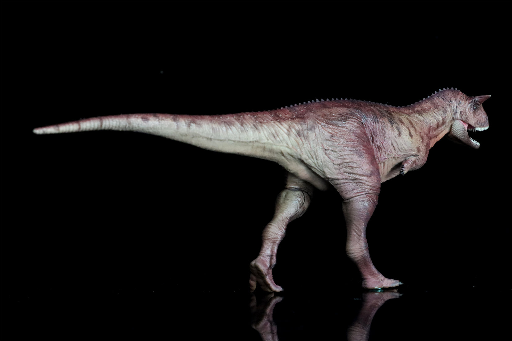 HAOLONGGOOD 1:35 Carnotaurus Model