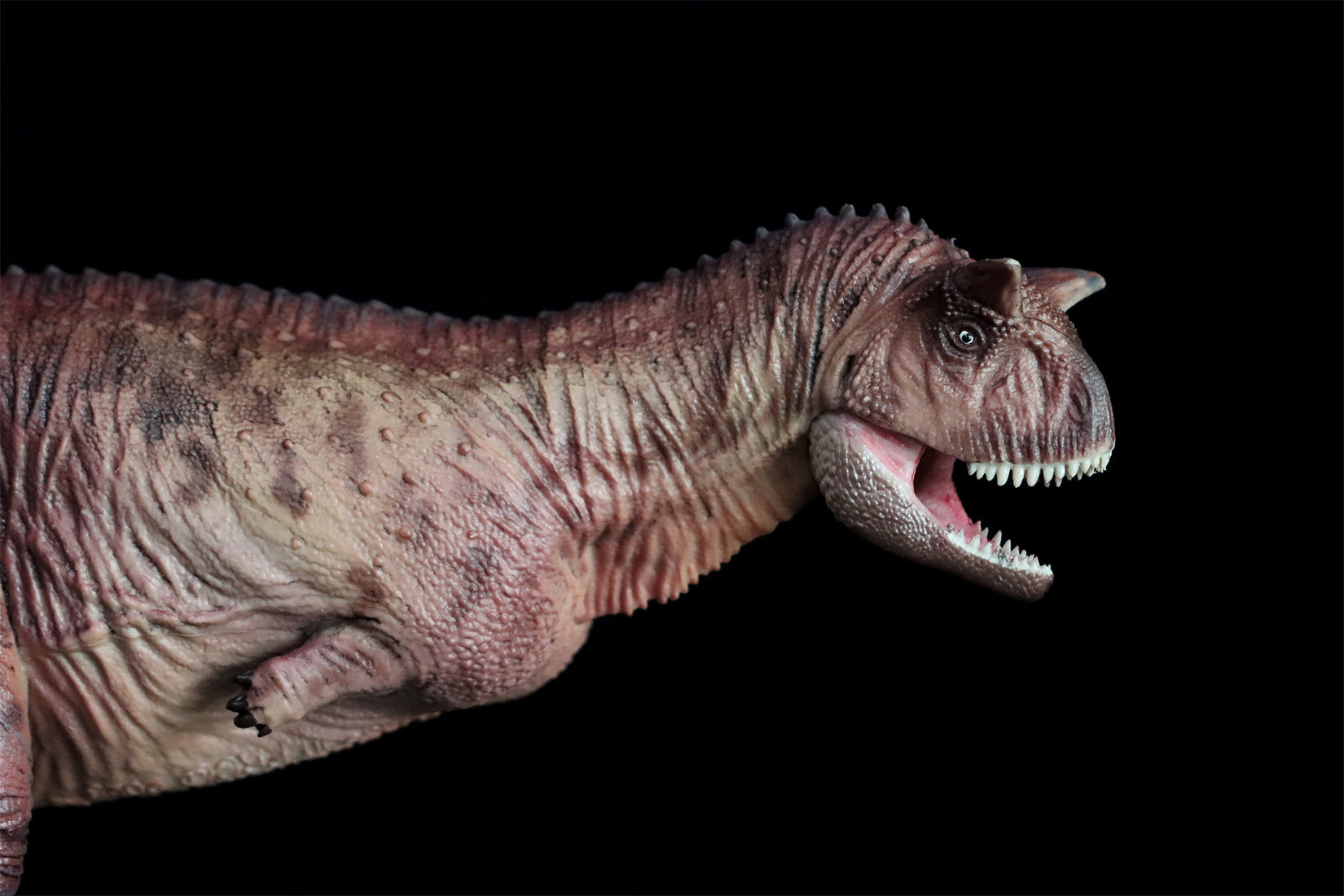 HAOLONGGOOD 1:35 Carnotaurus Model