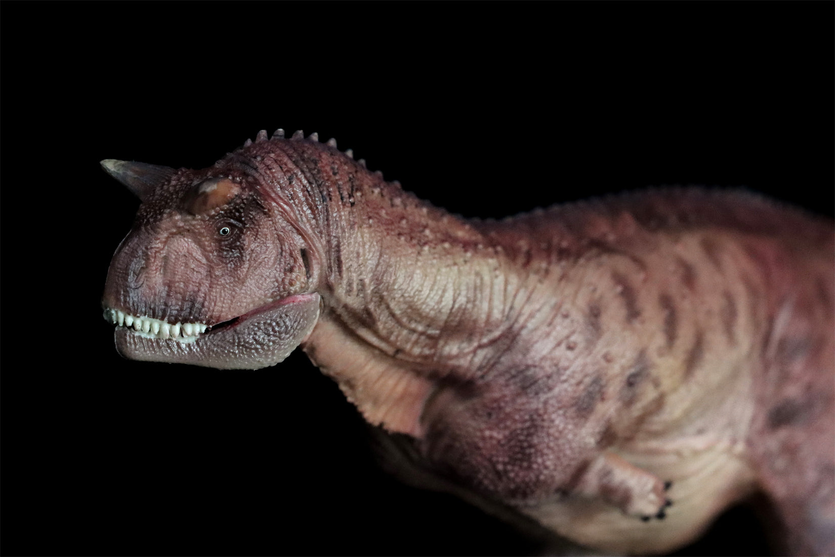 HAOLONGGOOD 1:35 Carnotaurus Model