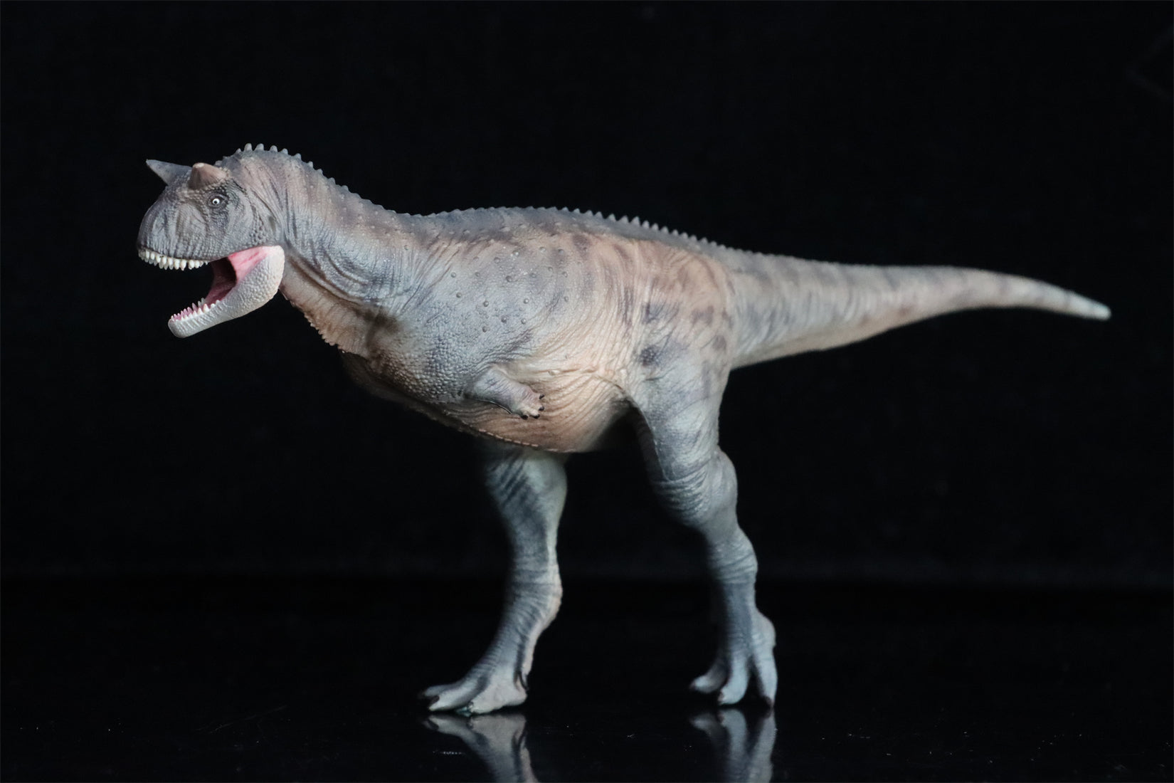 HAOLONGGOOD 1:35 Carnotaurus Model