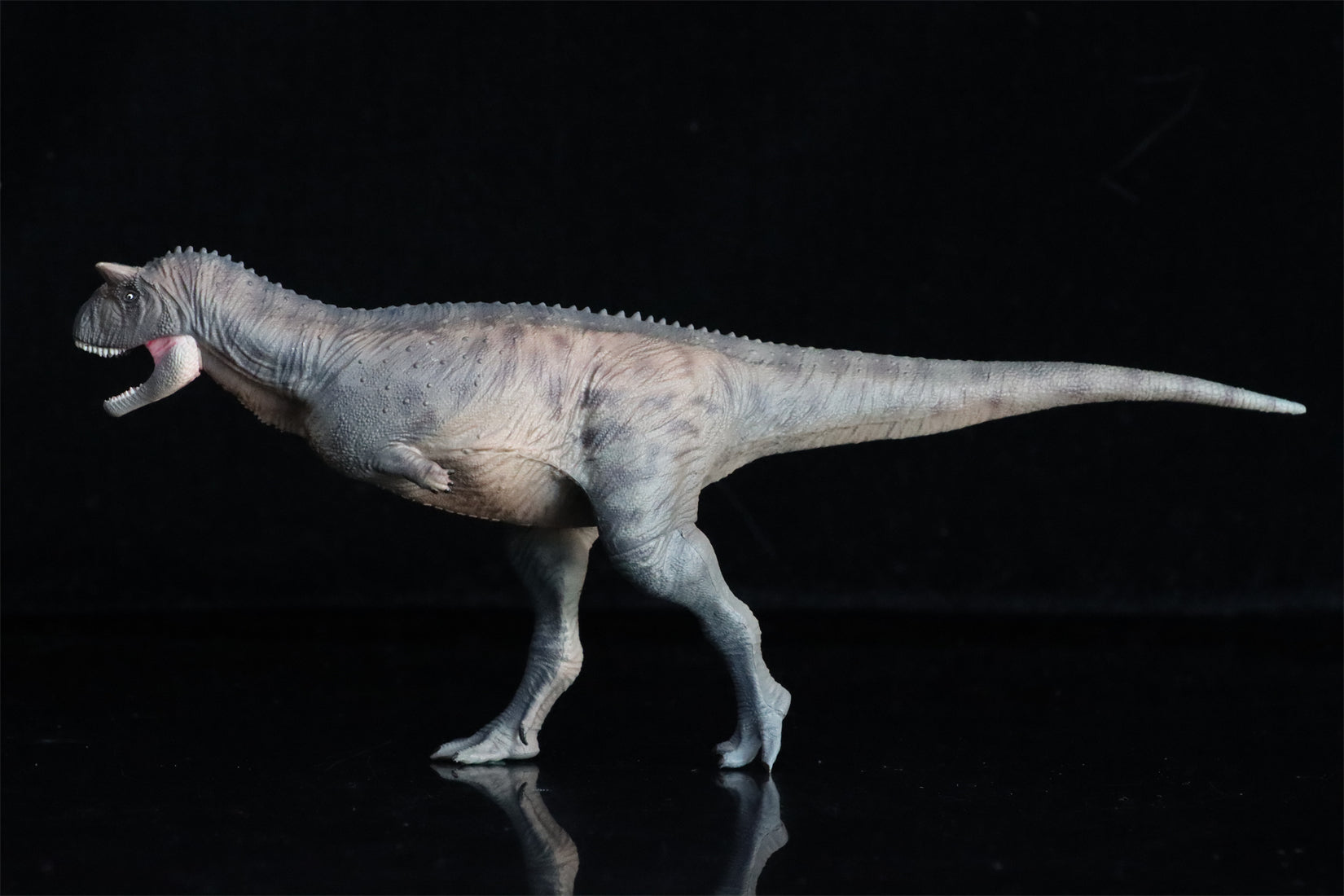 HAOLONGGOOD 1:35 Carnotaurus Model