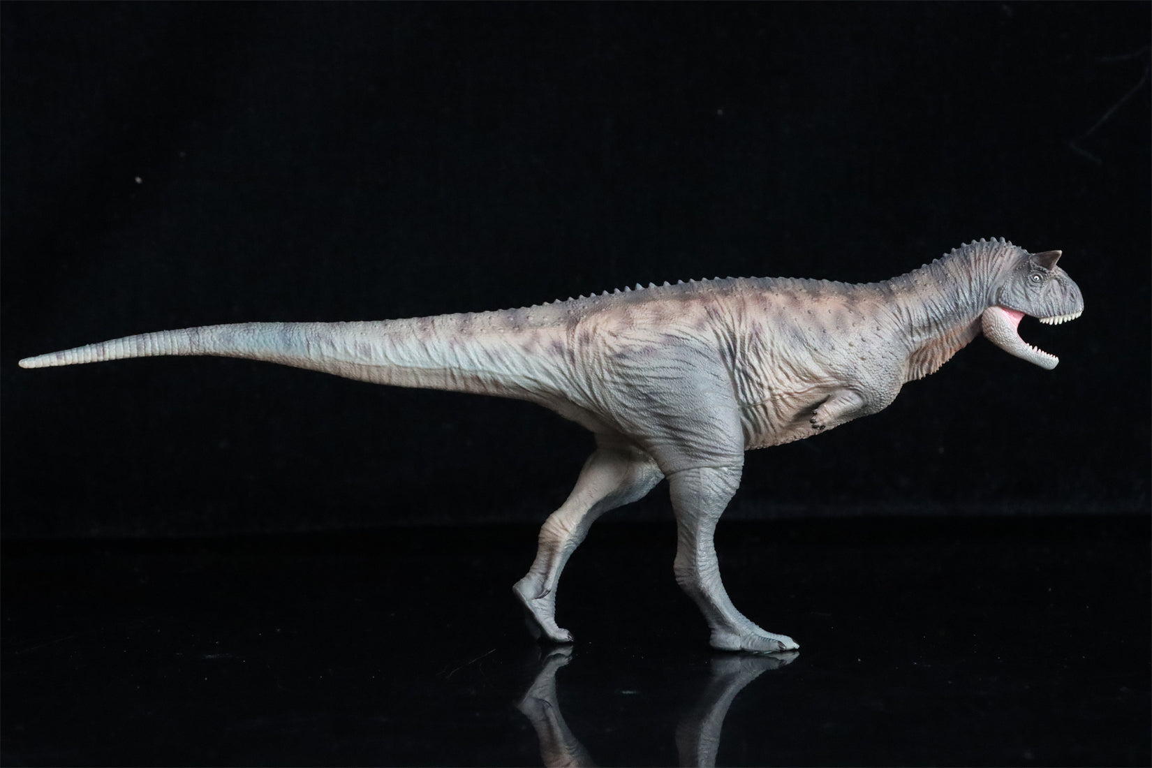HAOLONGGOOD 1:35 Carnotaurus Model