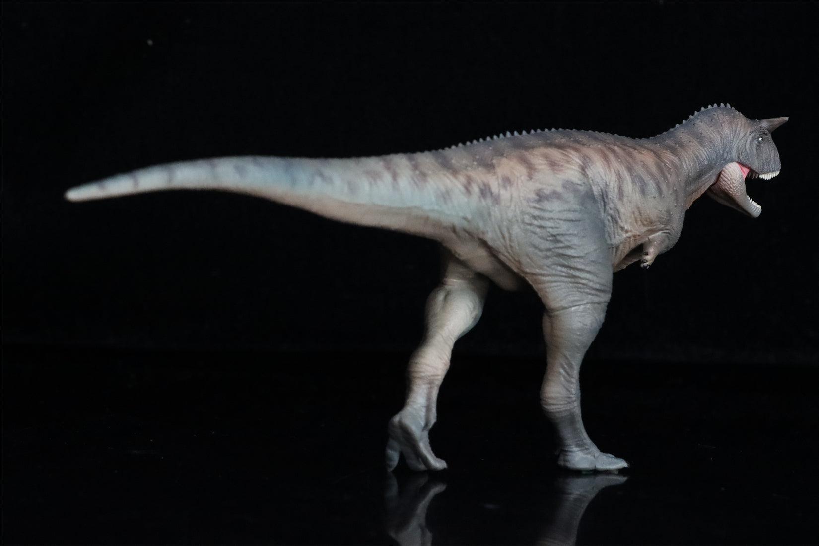 HAOLONGGOOD 1:35 Carnotaurus Model