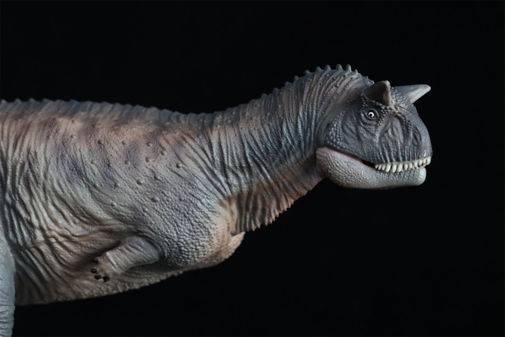 HAOLONGGOOD 1:35 Carnotaurus Model