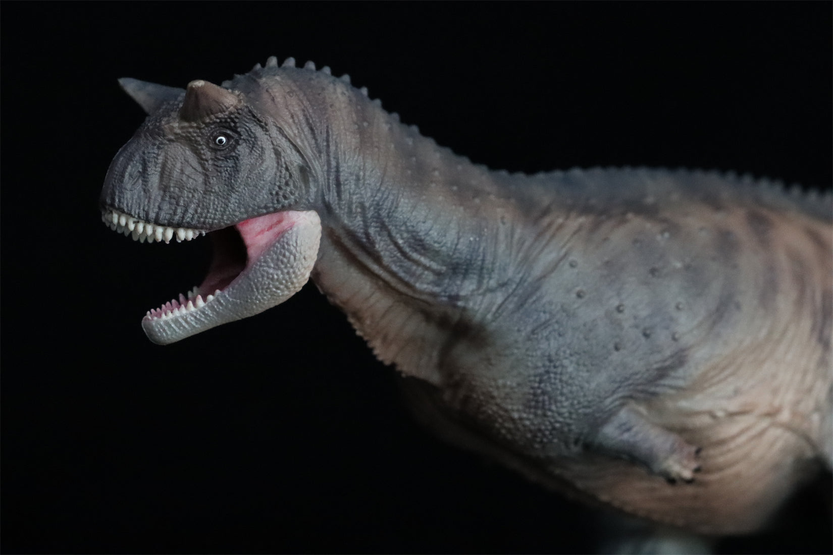 HAOLONGGOOD 1:35 Carnotaurus Model
