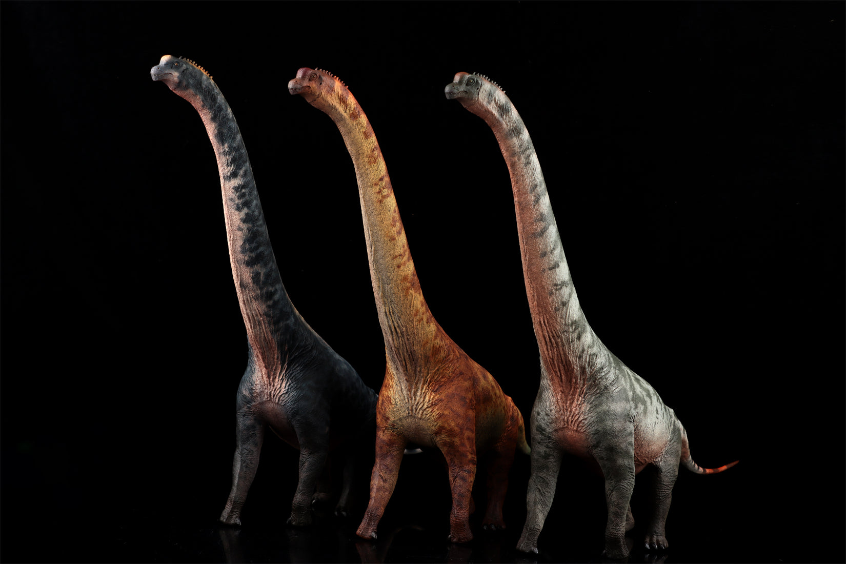 HAOLONGGOOD 1:35 Scale Brachiosaurus Model