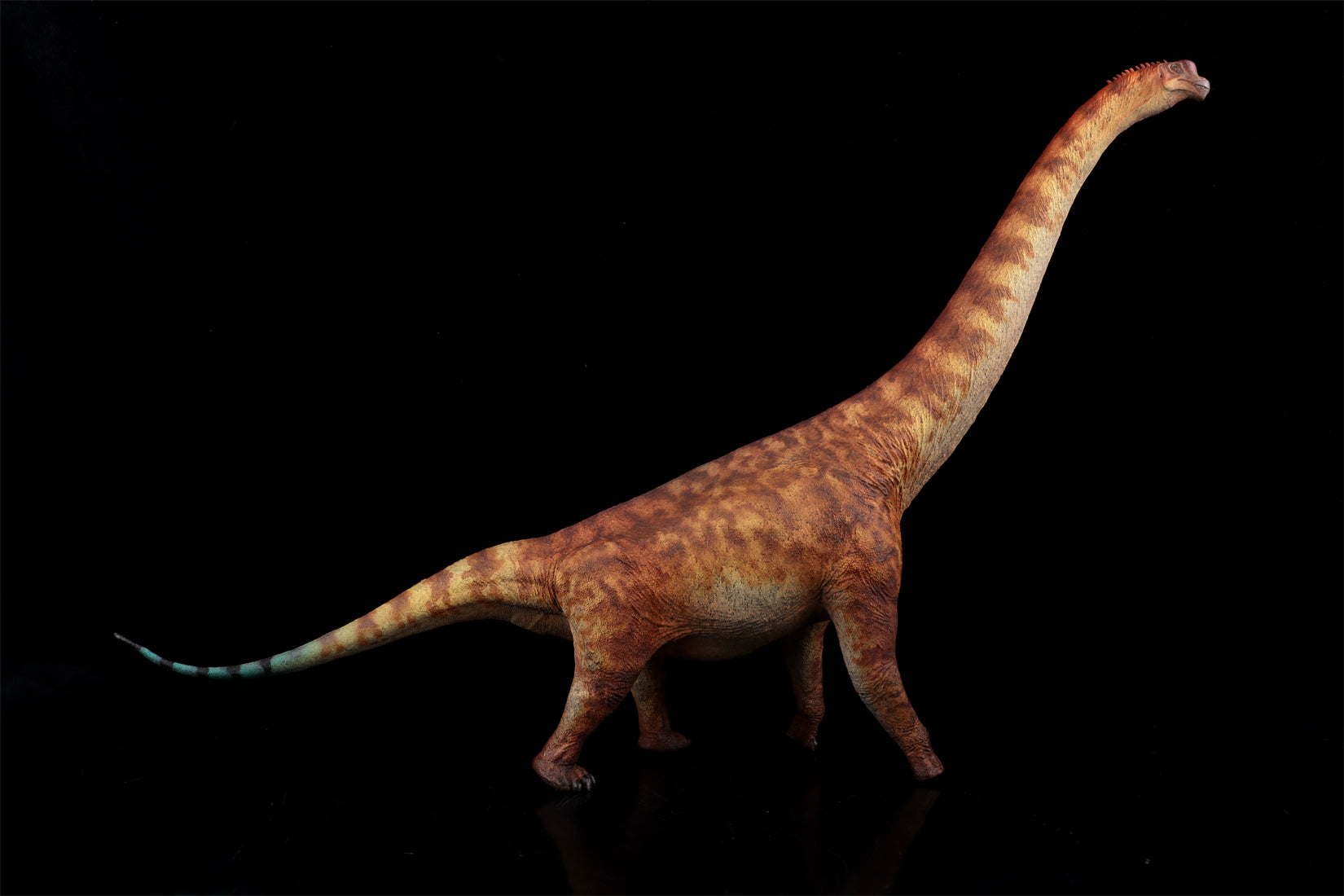 HAOLONGGOOD 1:35 Scale Brachiosaurus Model
