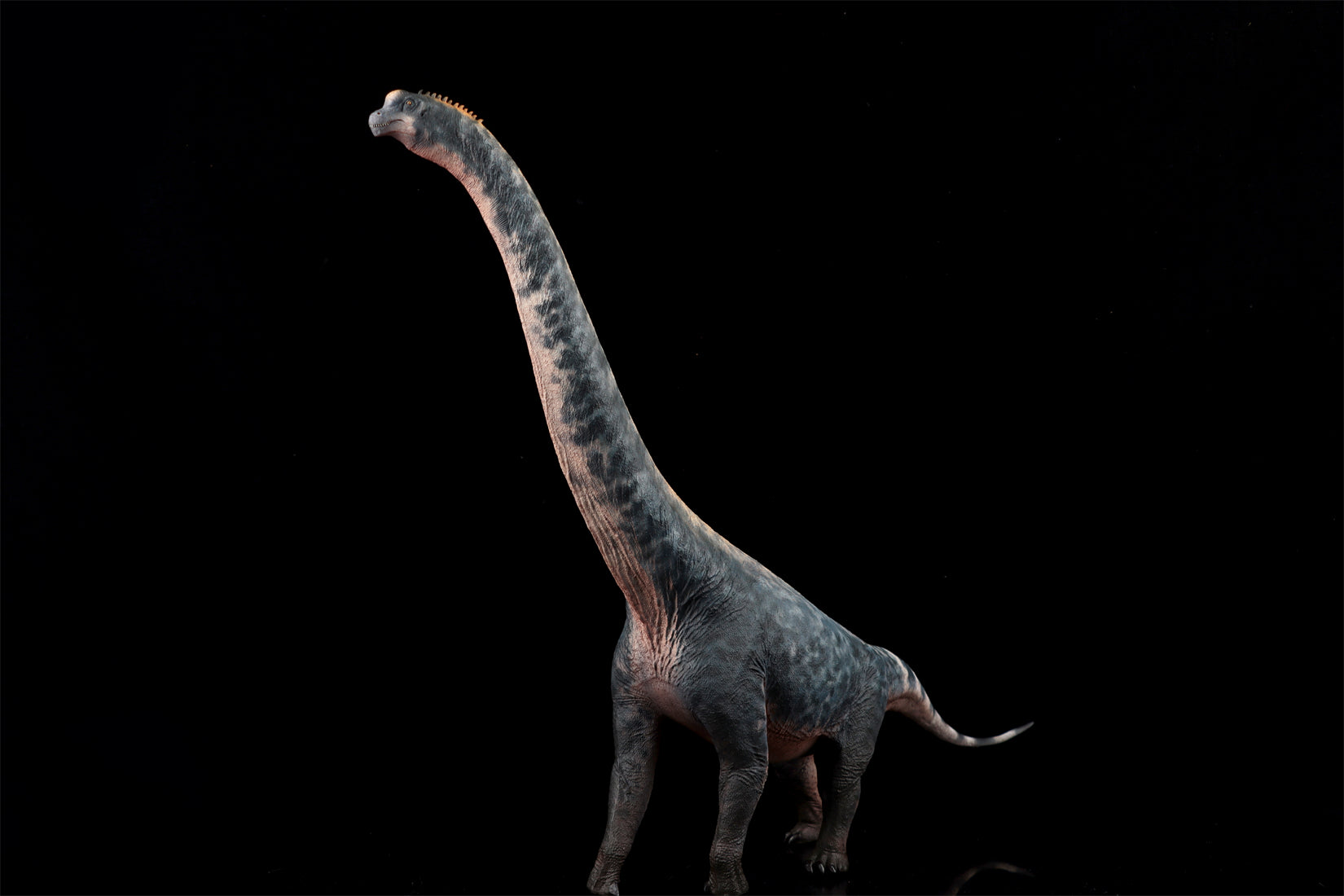 HAOLONGGOOD 1:35 Scale Brachiosaurus Model