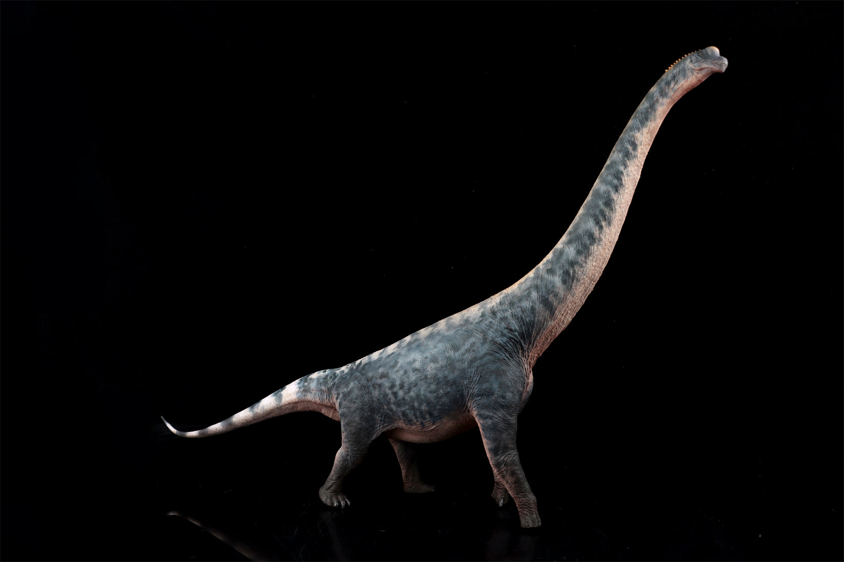 HAOLONGGOOD 1:35 Scale Brachiosaurus Model