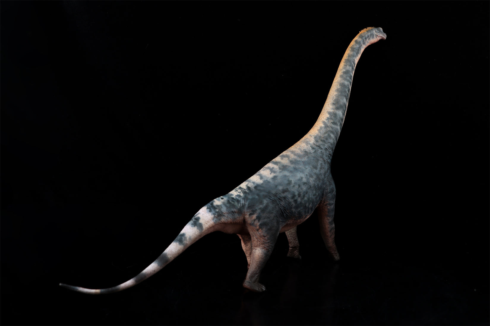 HAOLONGGOOD 1:35 Scale Brachiosaurus Model