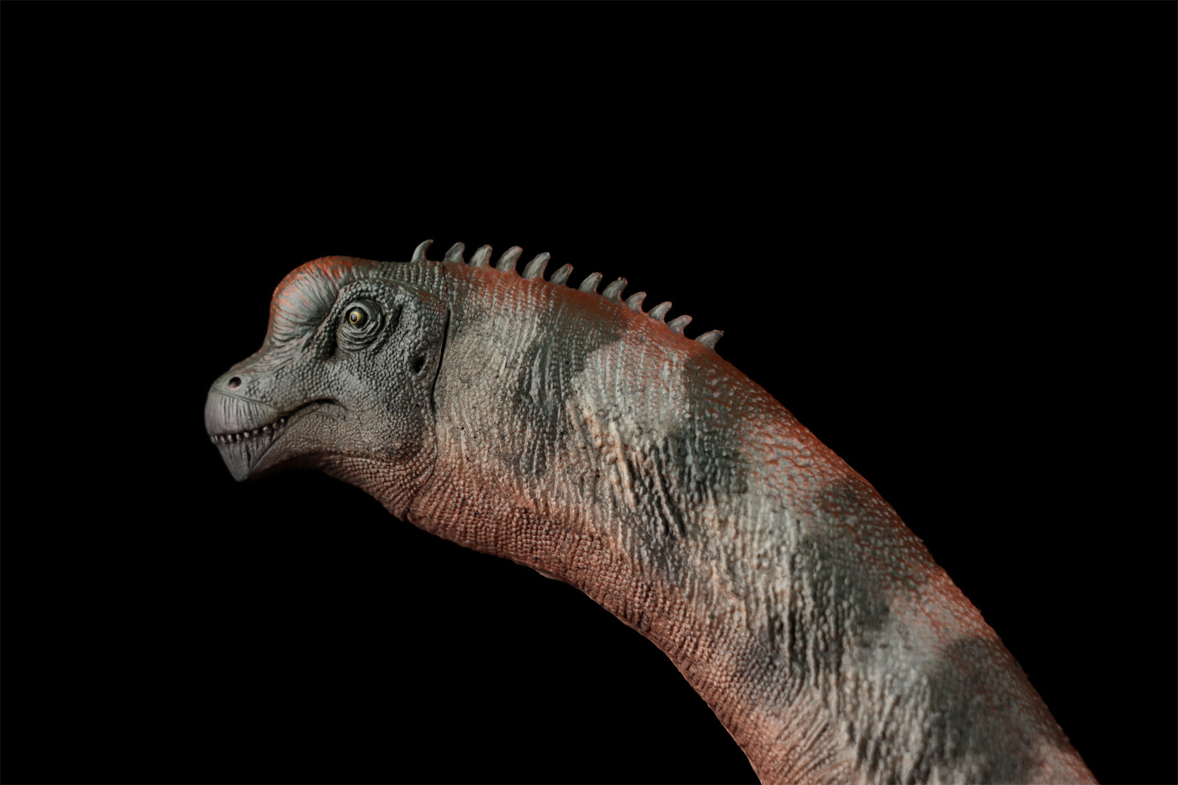 HAOLONGGOOD 1:35 Scale Brachiosaurus Model