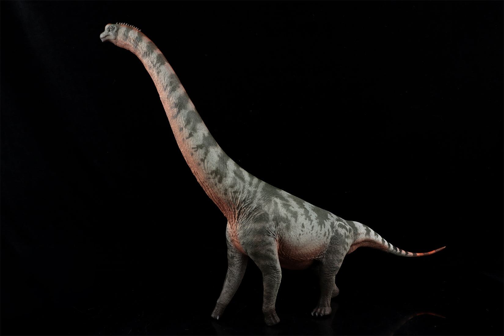 HAOLONGGOOD 1:35 Scale Brachiosaurus Model