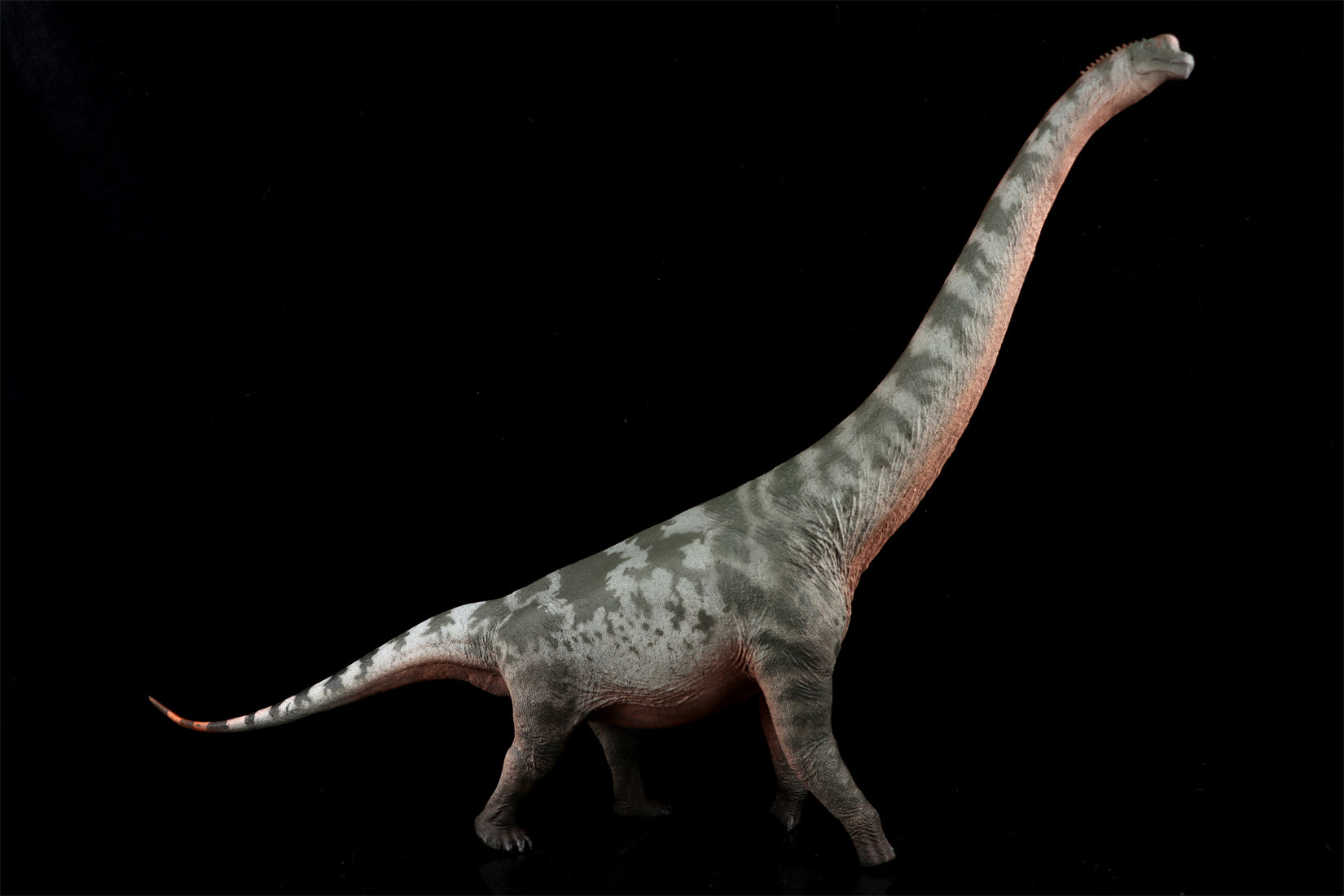 HAOLONGGOOD 1:35 Scale Brachiosaurus Model