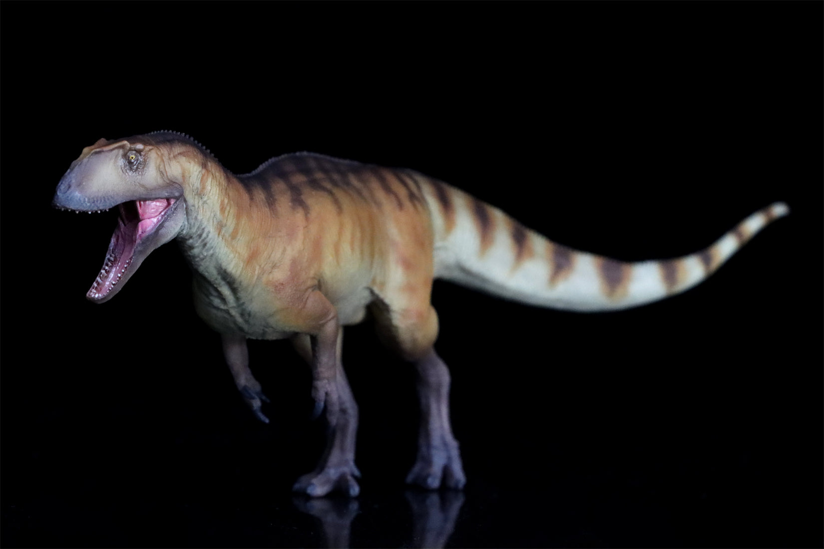 PNSO Yangchuanosaurus shangyouensis Dayong Model