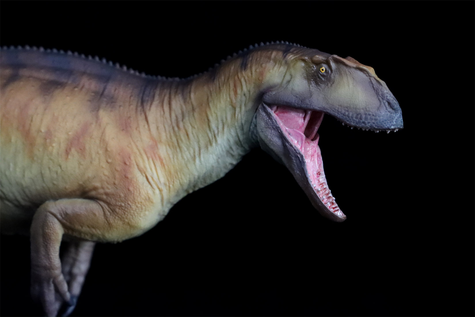 PNSO Yangchuanosaurus shangyouensis Dayong Model