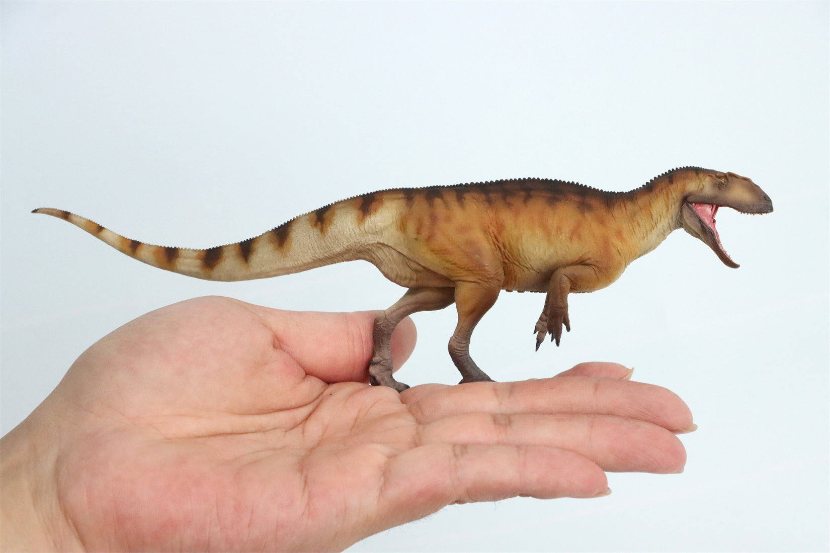 PNSO Yangchuanosaurus shangyouensis Dayong Model