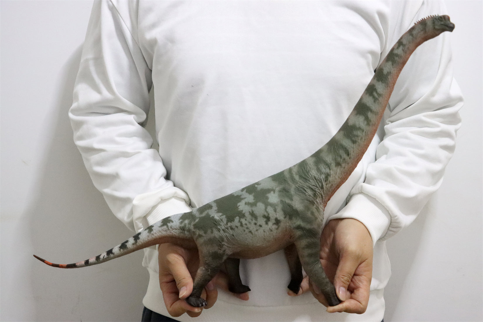 HAOLONGGOOD 1:35 Scale Brachiosaurus Model