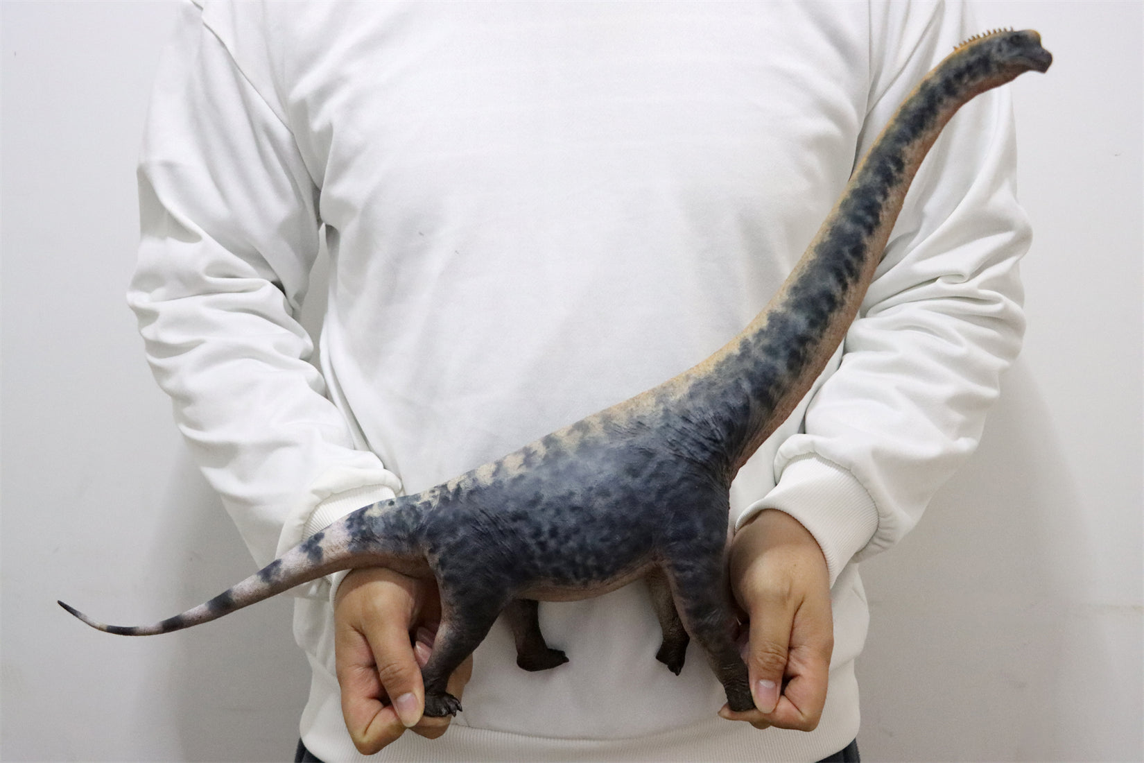 HAOLONGGOOD 1:35 Scale Brachiosaurus Model