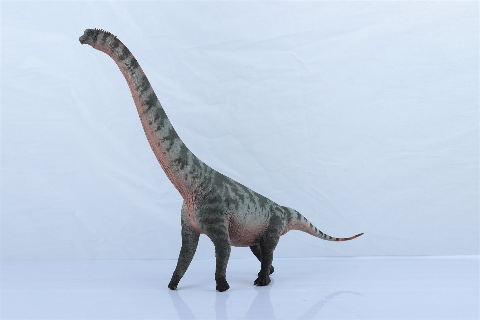 HAOLONGGOOD 1:35 Scale Brachiosaurus Model
