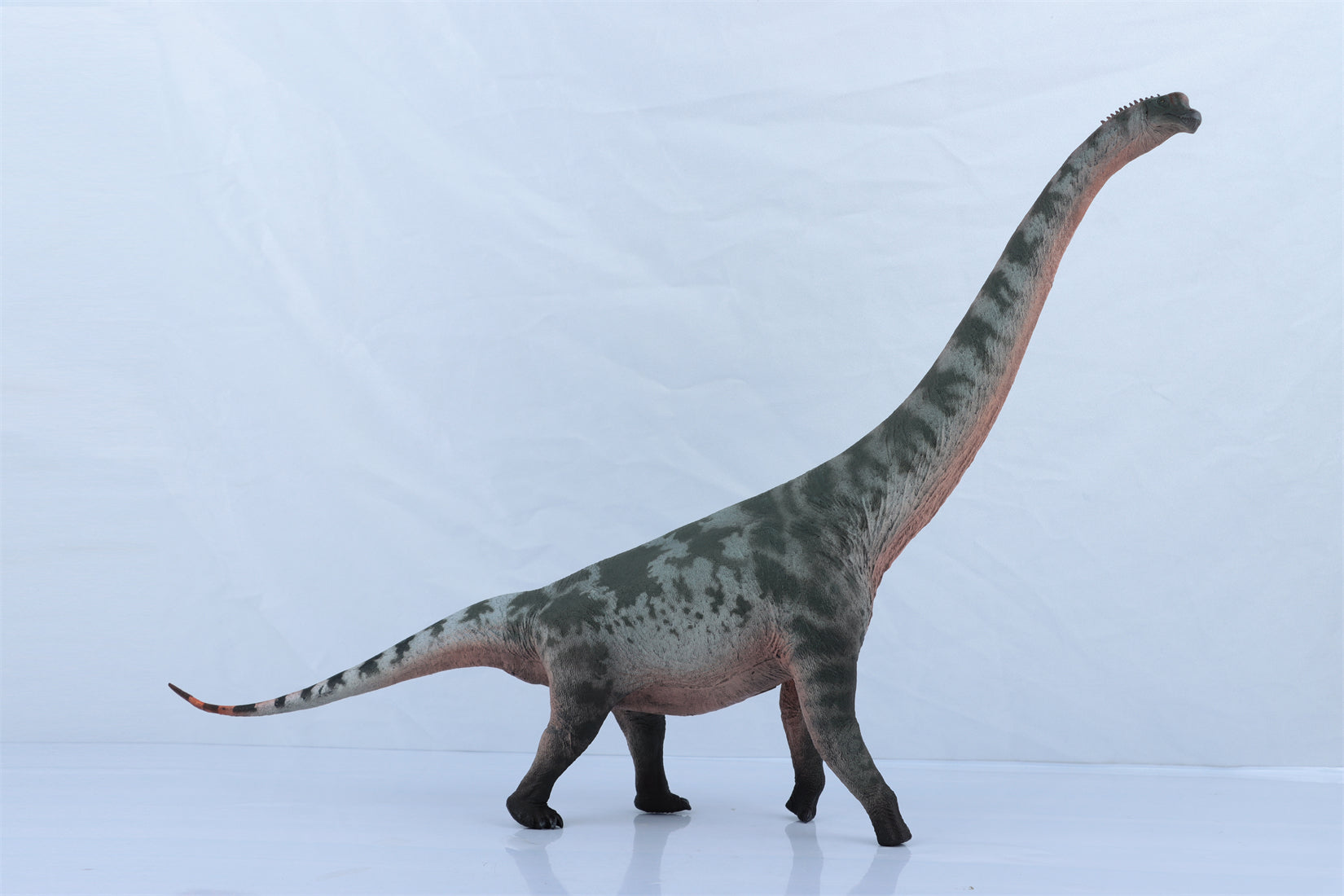 HAOLONGGOOD 1:35 Scale Brachiosaurus Model
